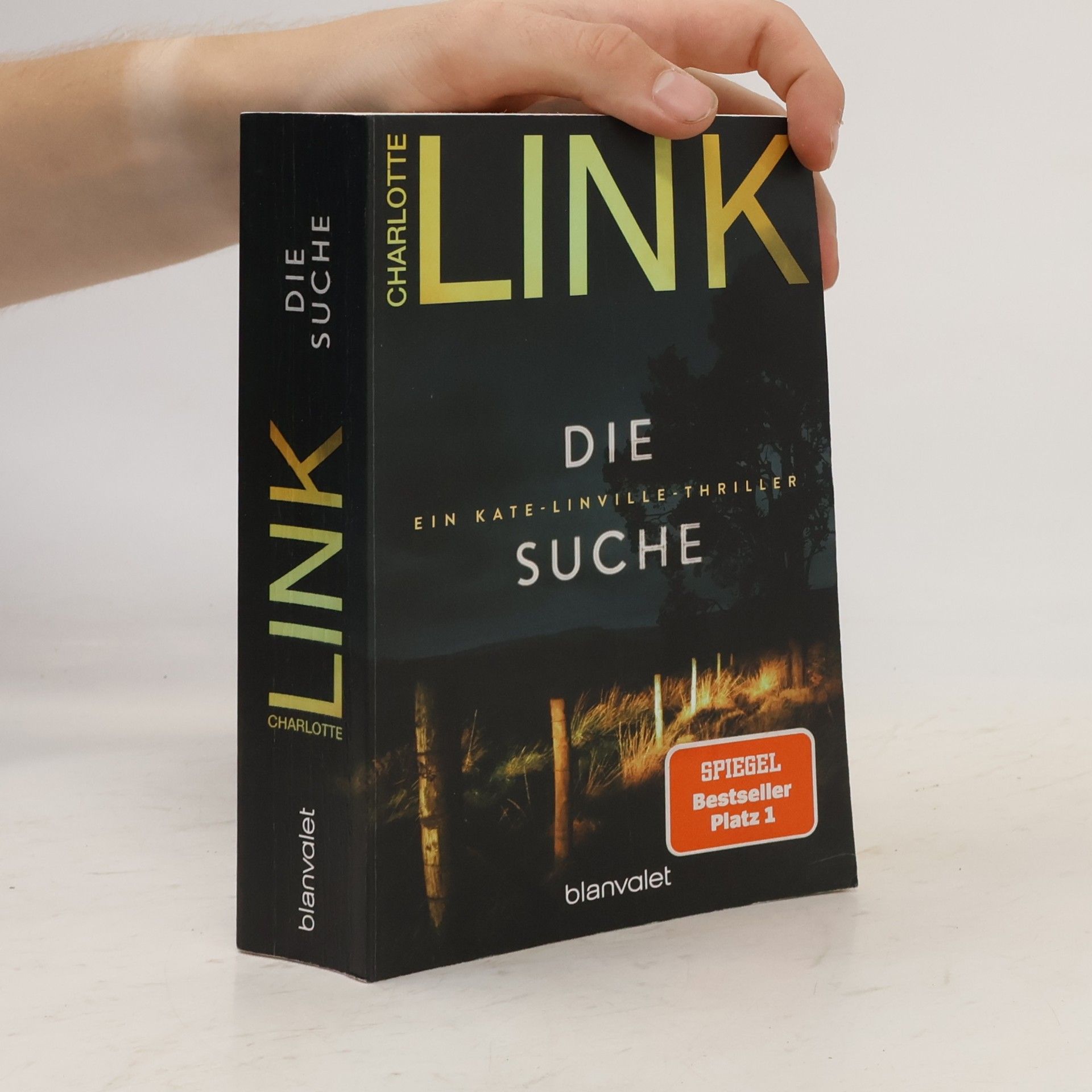 Charlotte Link Kate-Linville-Thriller - 2: Die Suche