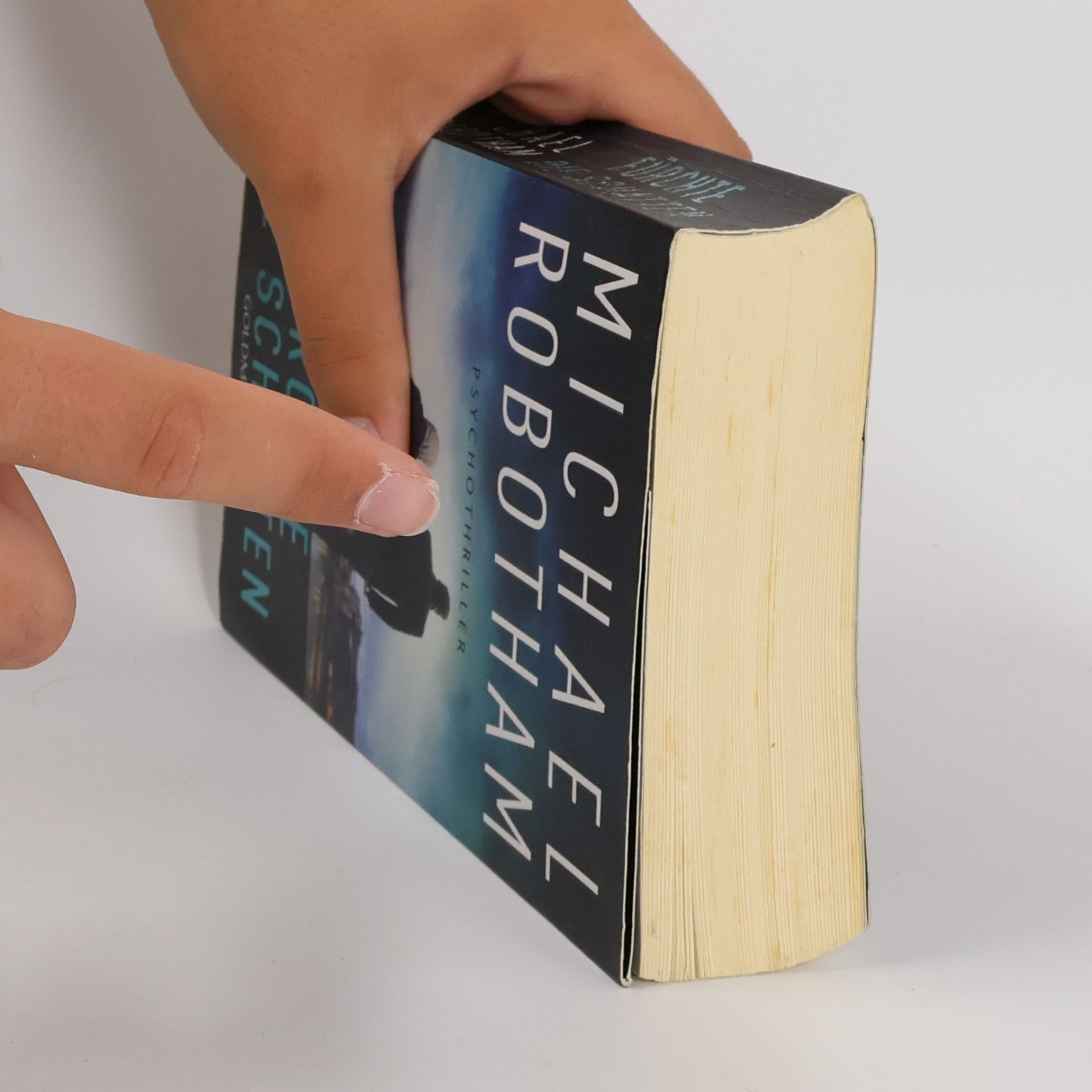 Michael Robotham Fürchte die Schatten