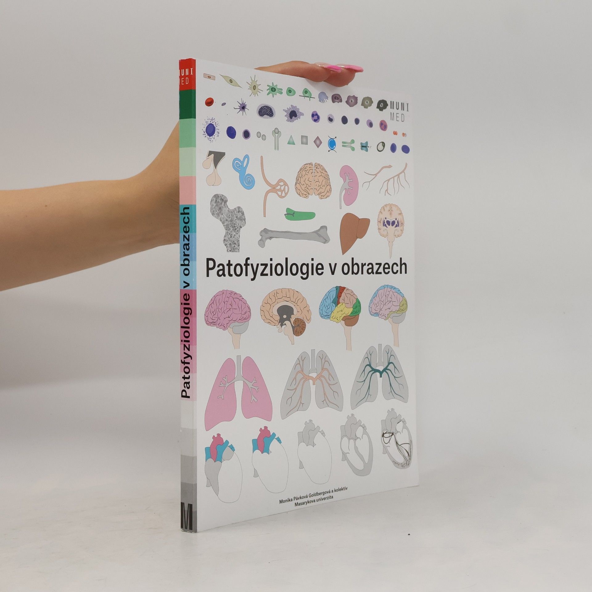 Patofyziologie v obrazech