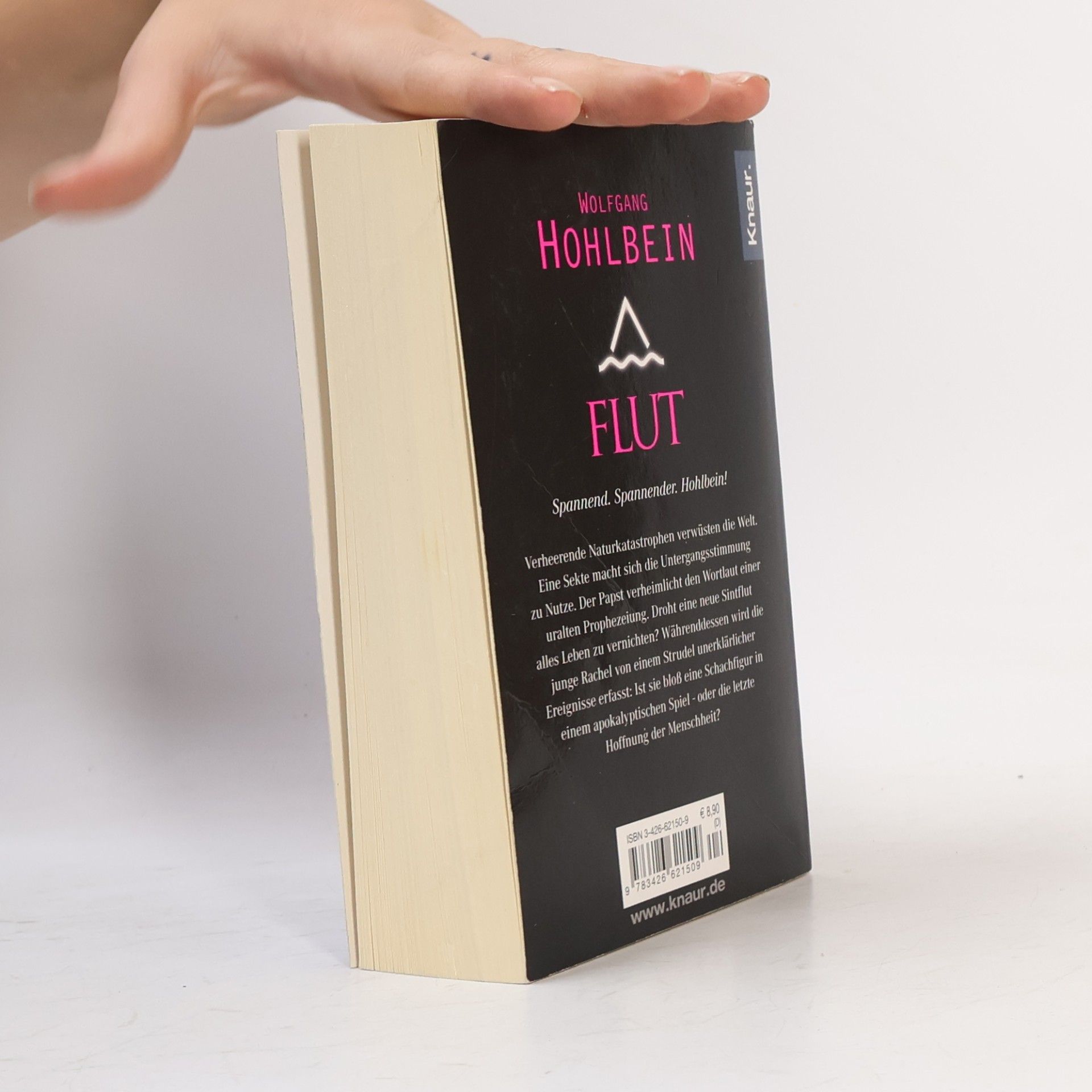 Wolfgang Hohlbein Flut