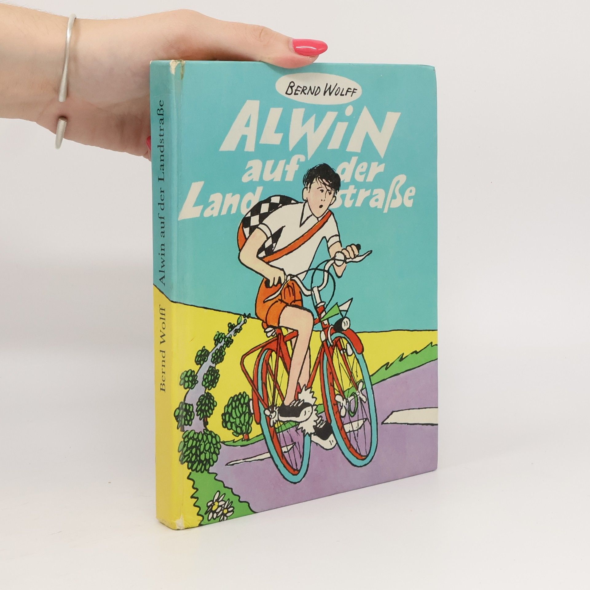 Bernd Wolff Alwin auf der Landstraße