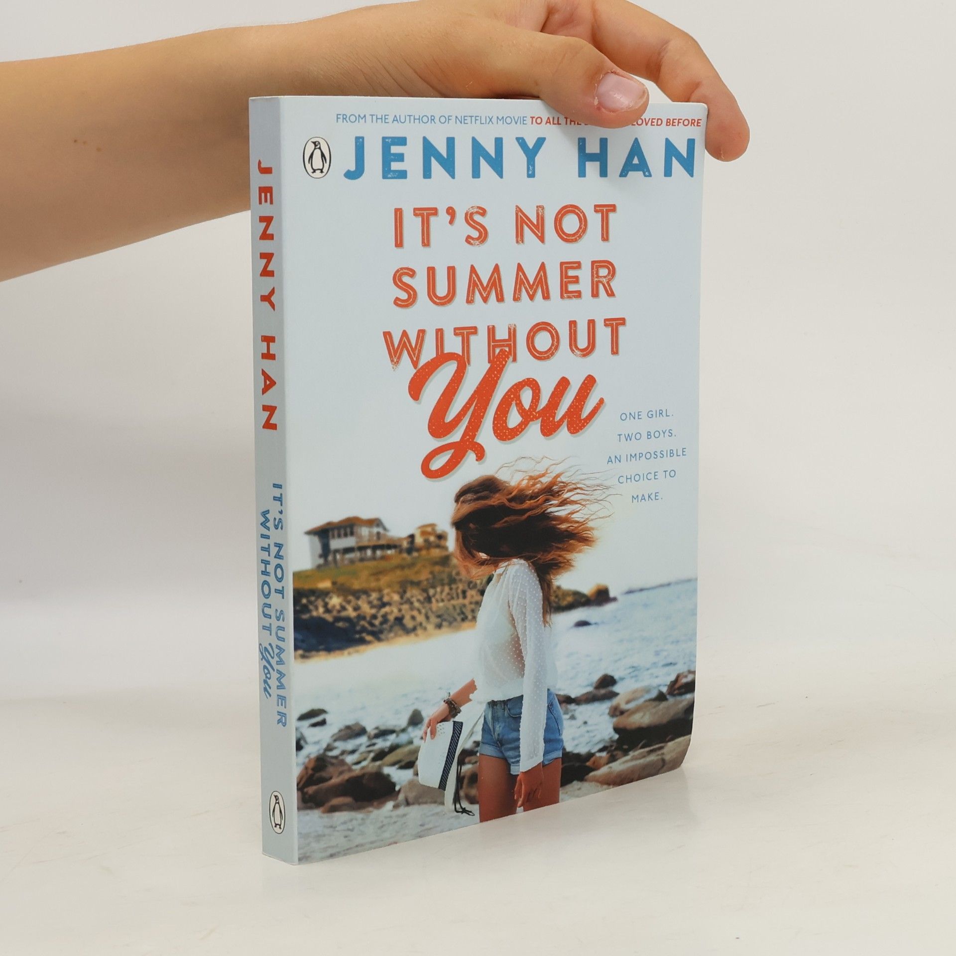 Jenny Han It's Not Summer Without You