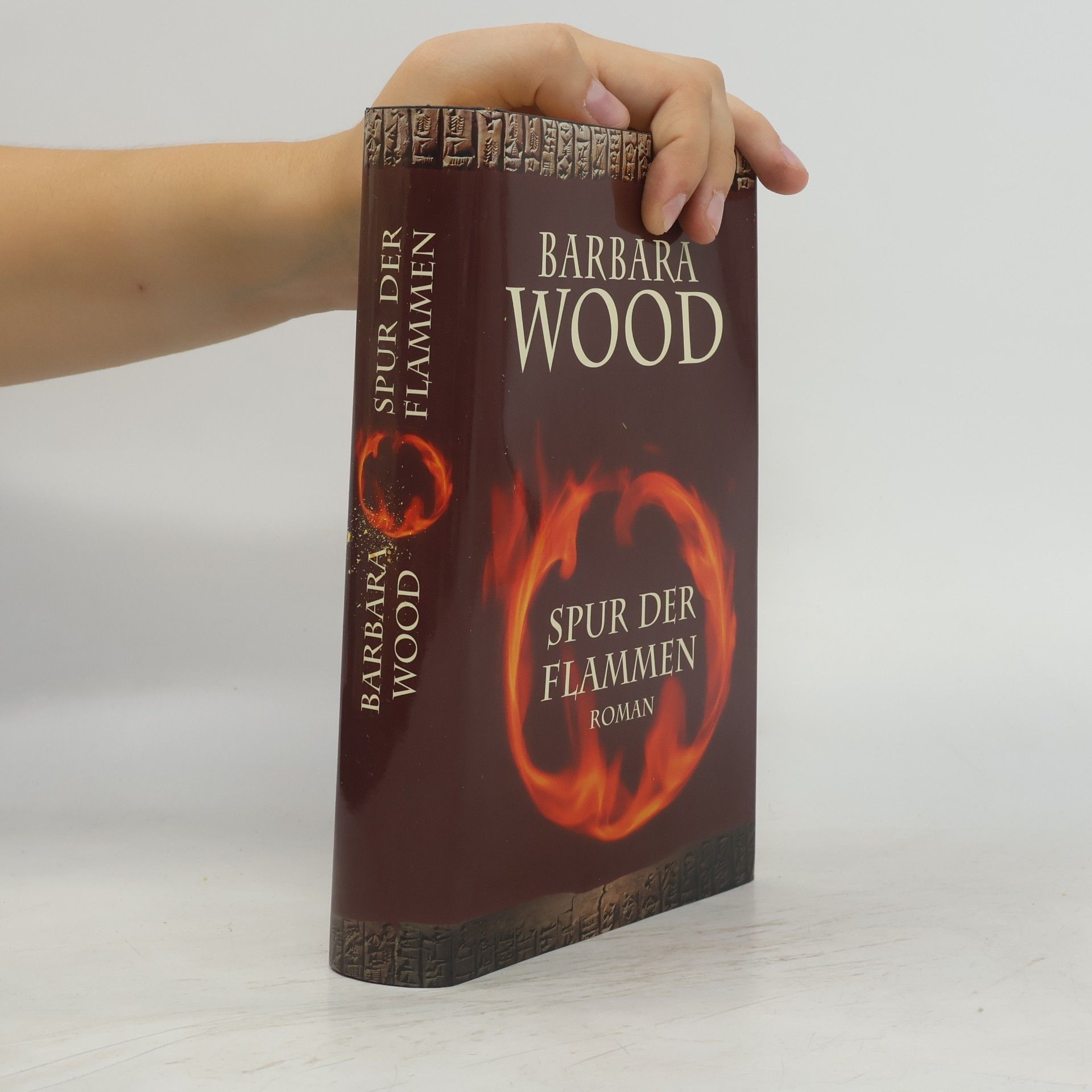 Barbara Wood Spur der Flammen
