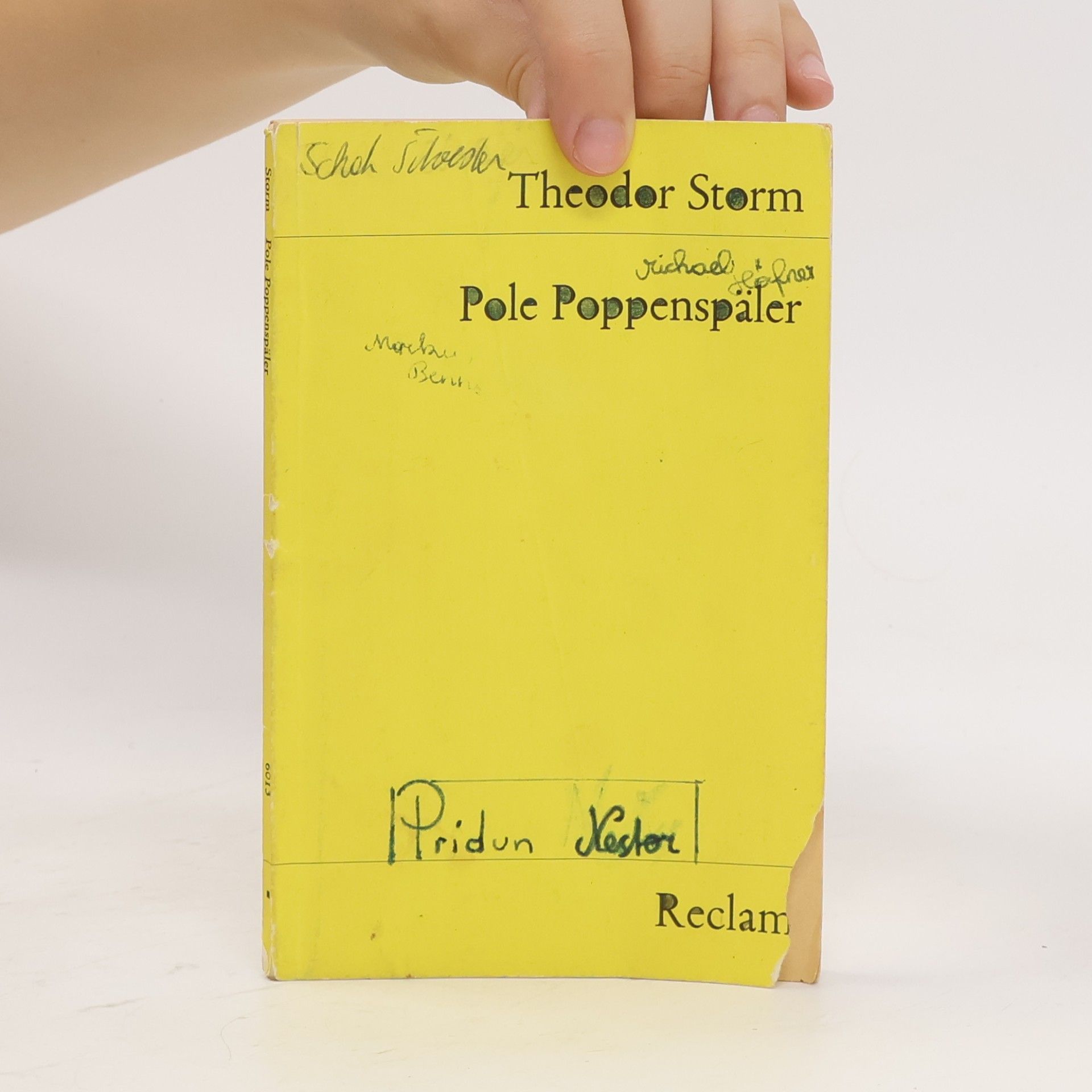 Theodor Storm Pole Poppenspäler