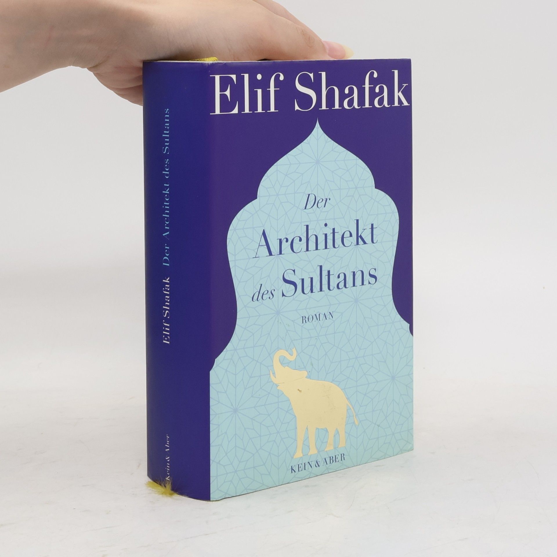 Elif Shafak Der Architekt des Sultans