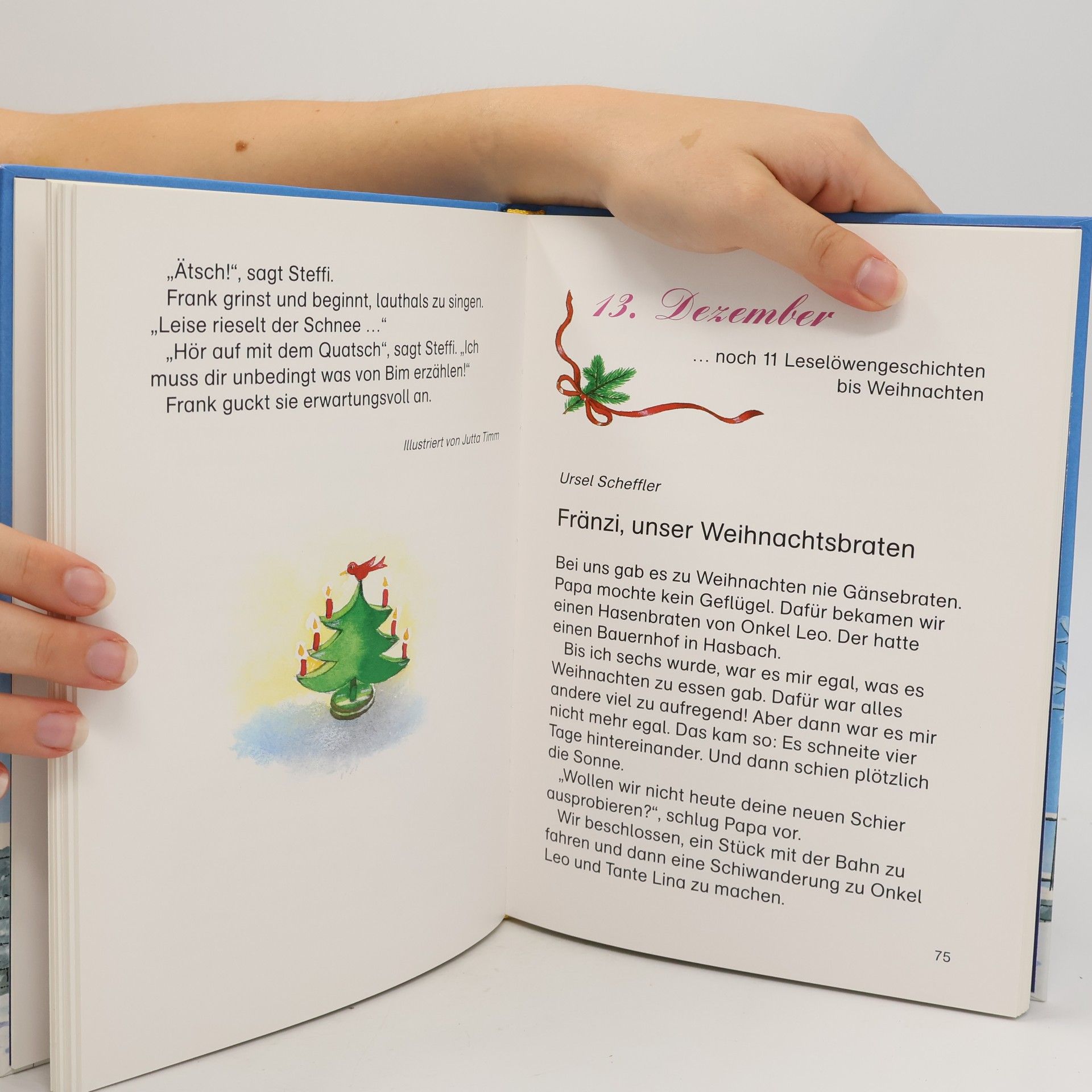 24 Leselöwen-Geschichten zum Advent