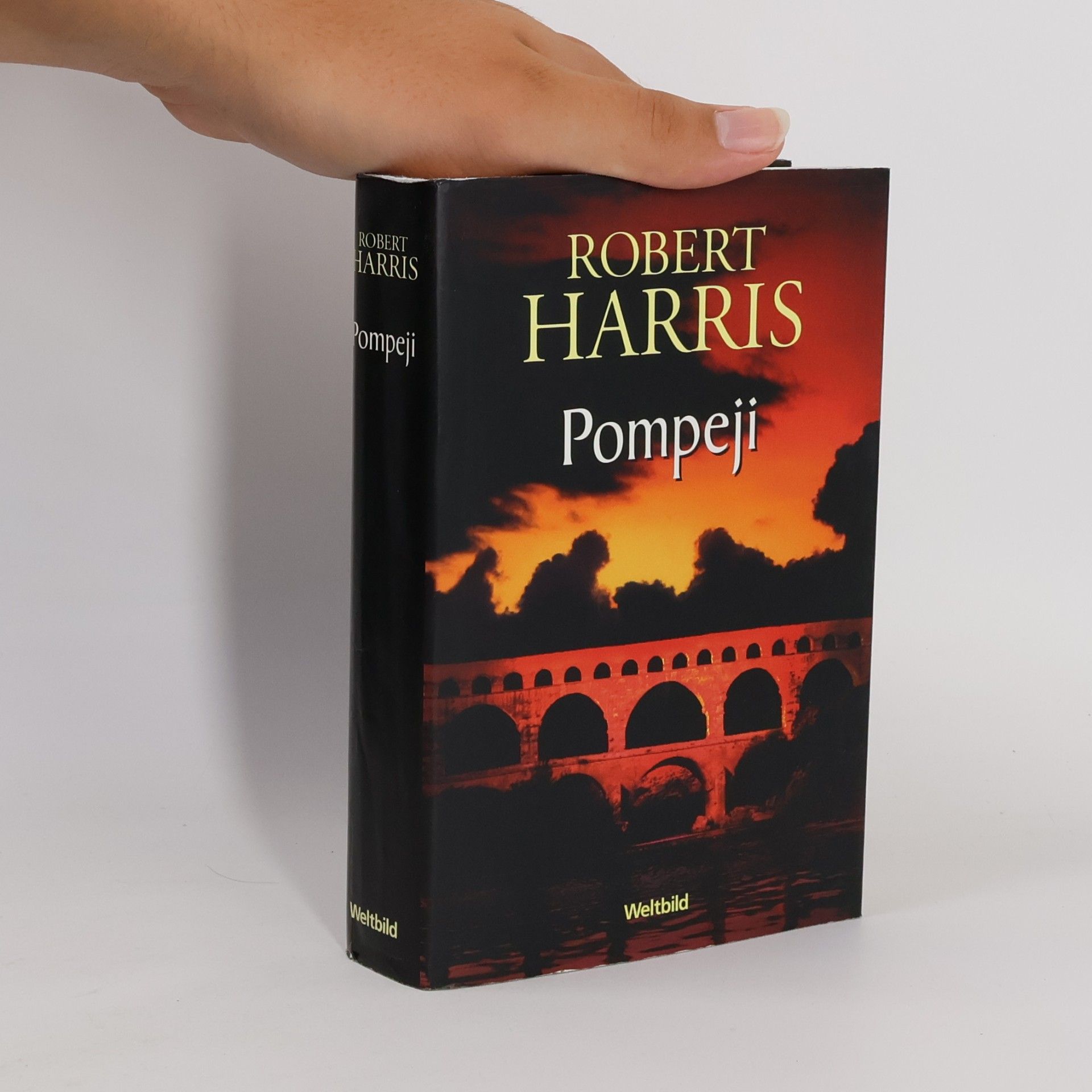 Robert Harris Pompeji