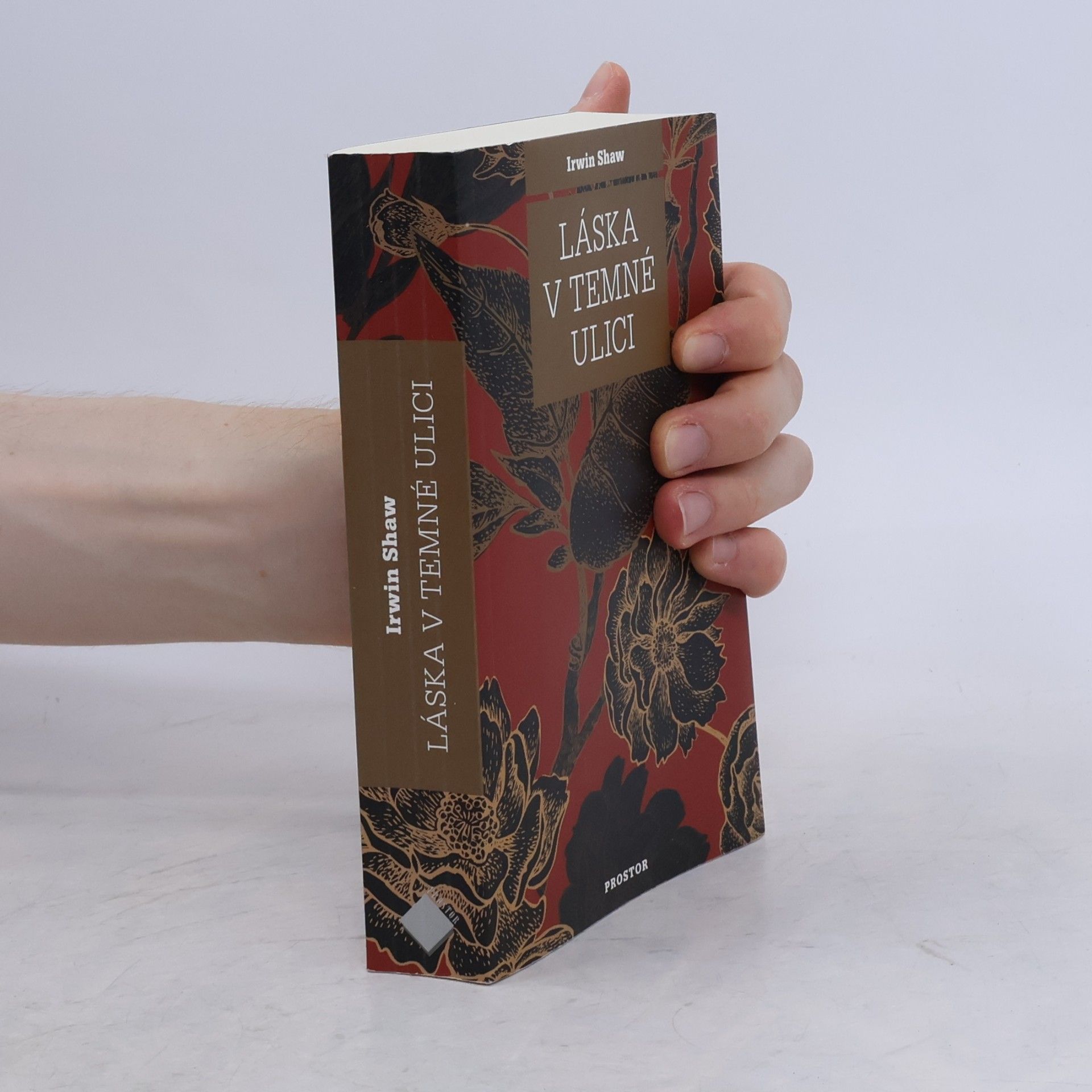 Irwin Shaw Láska v temné ulici