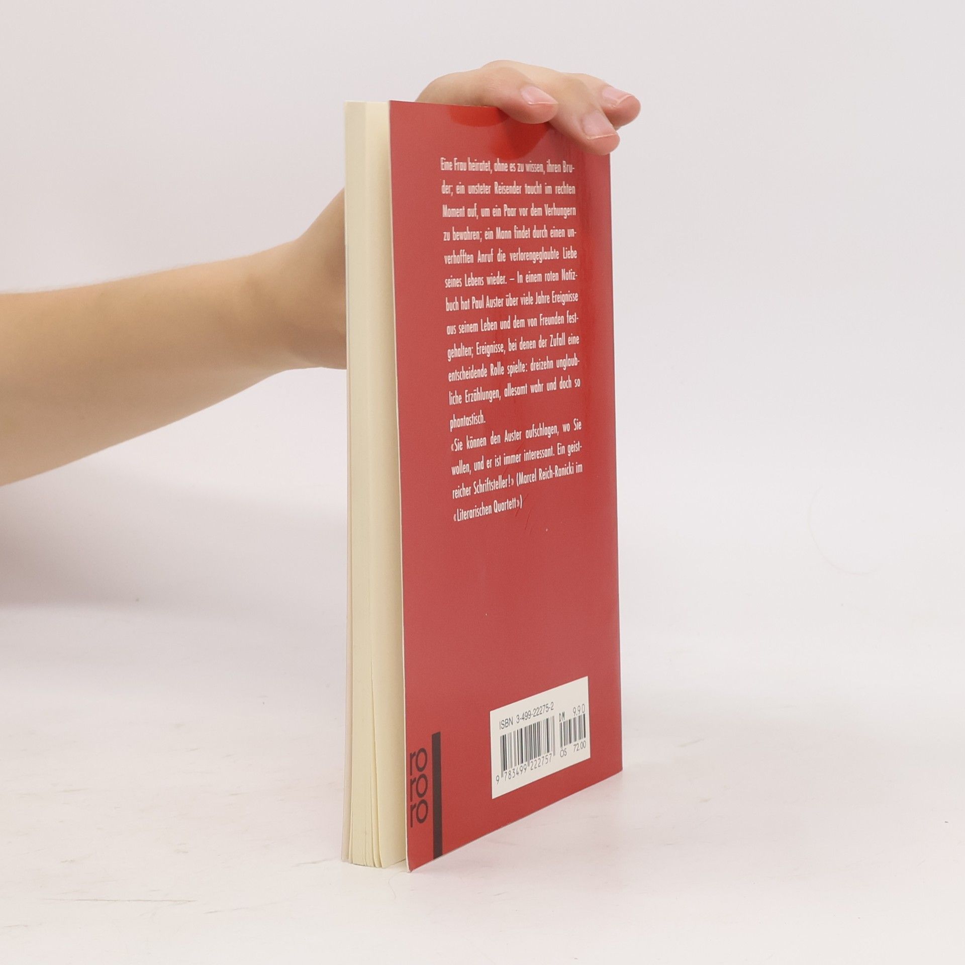 Paul Auster Das rote Notizbuch