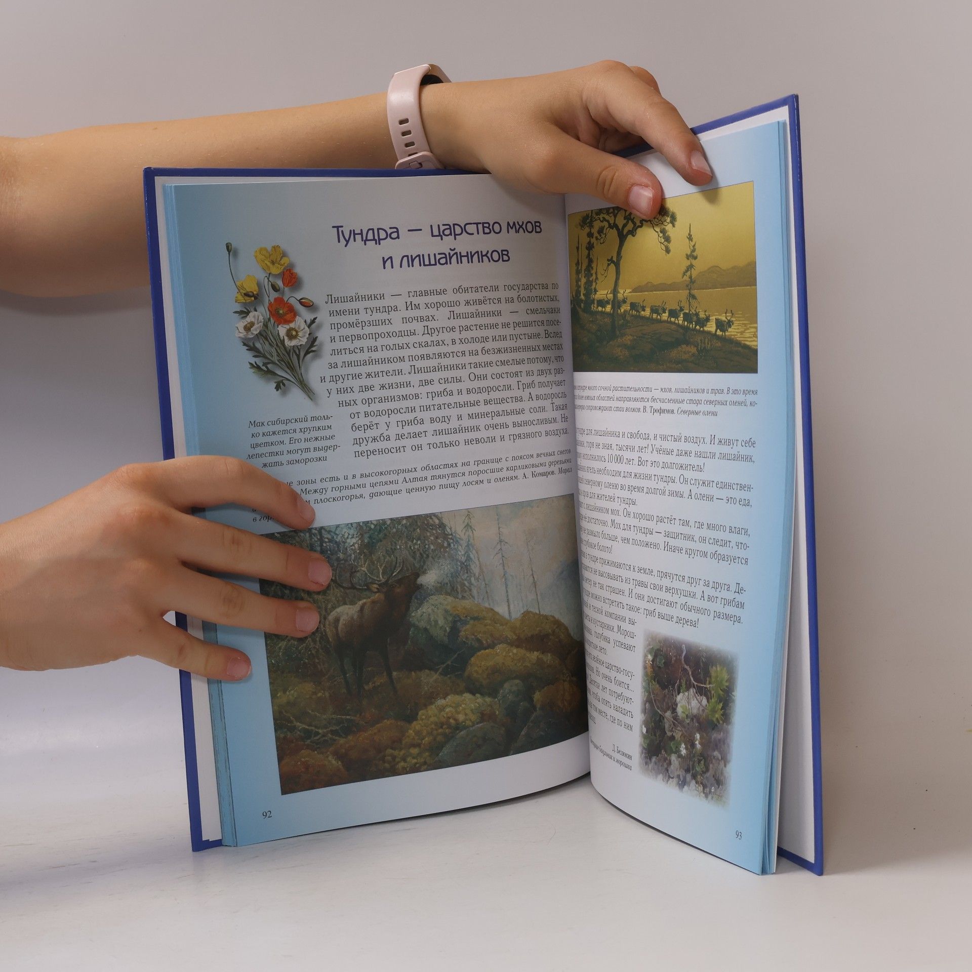 Olga Kolpakova Моя первая книга: Занимательная география для малышей