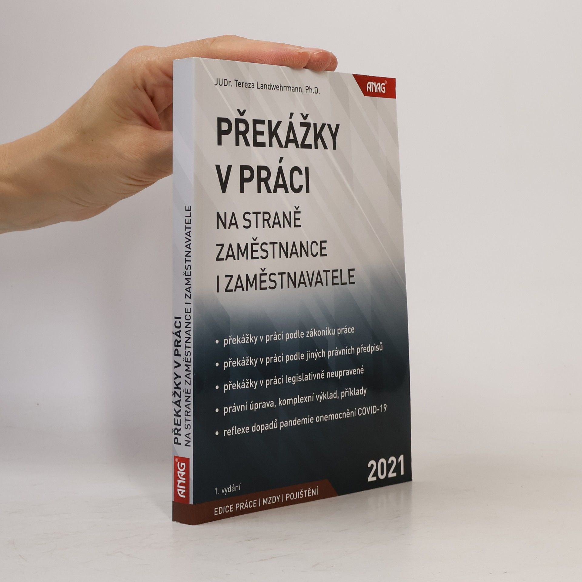 Tereza Landwehrmann Překážky v práci na straně zaměstnance i zaměstnavatele