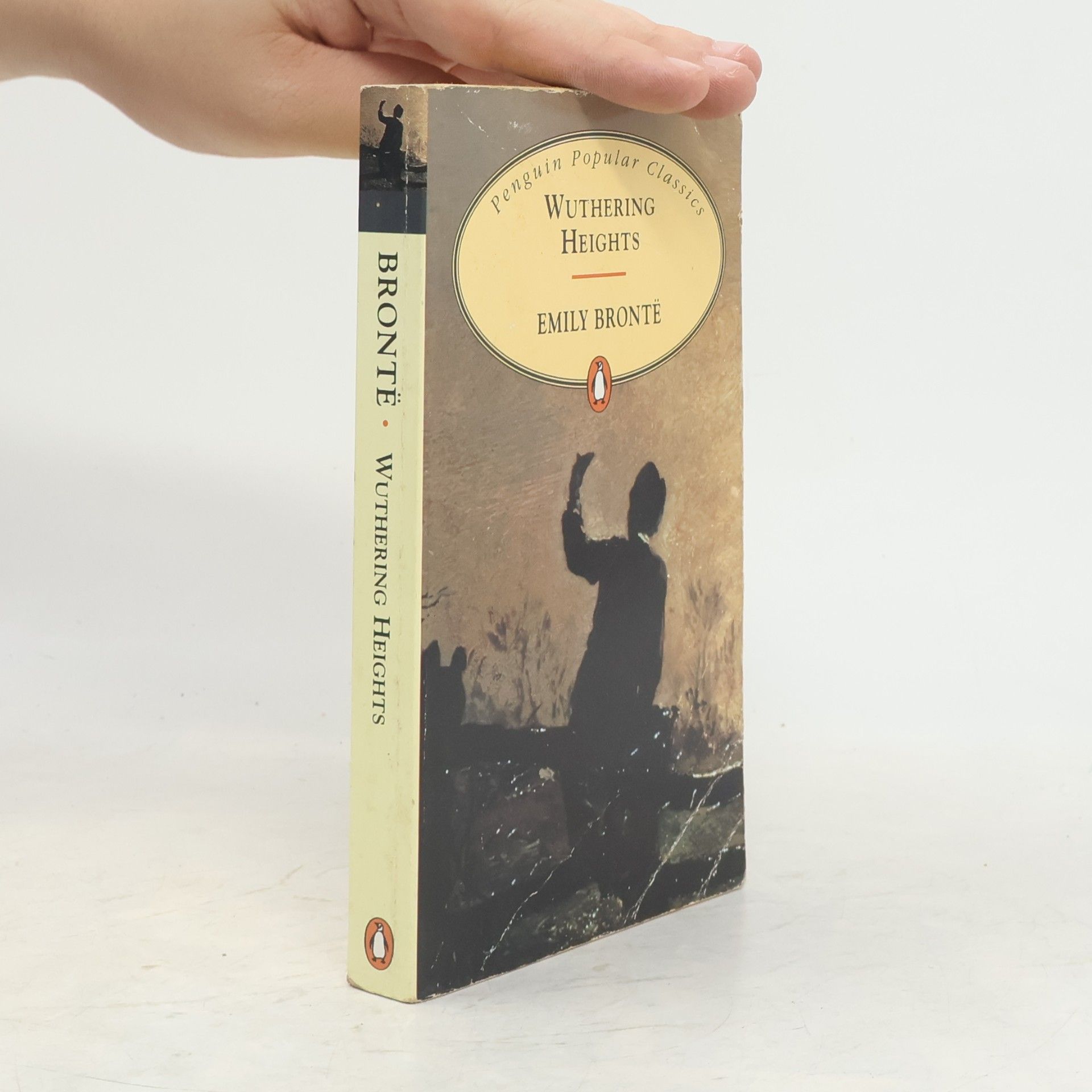 Emily Brontë Wuthering Heights