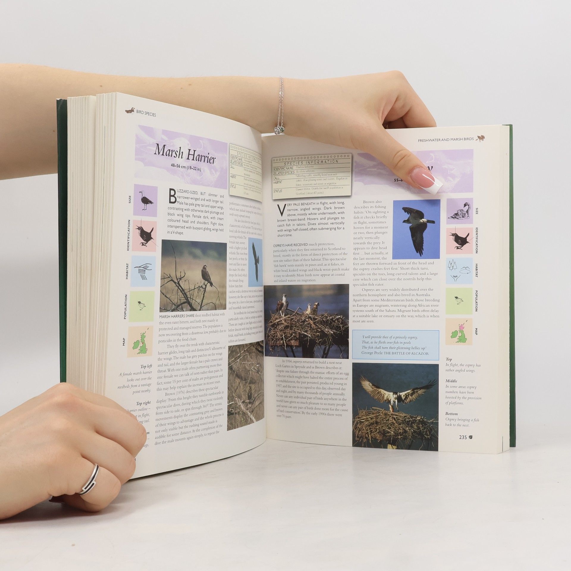 Donald Campbell The Encyclopedia of British Birds