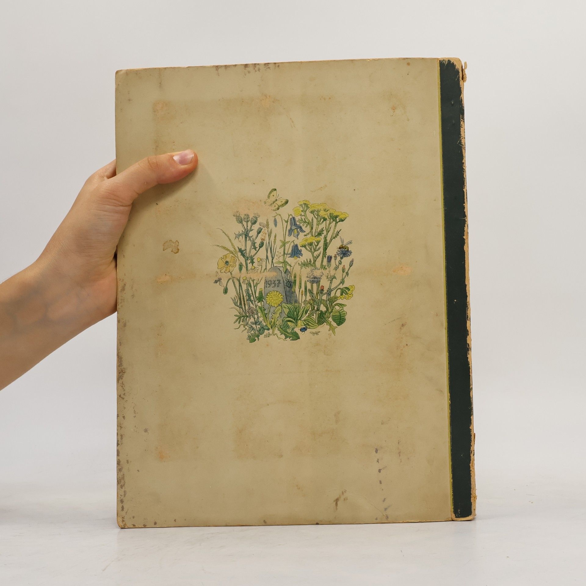 Walter Nöldner Aus Wald und Flur