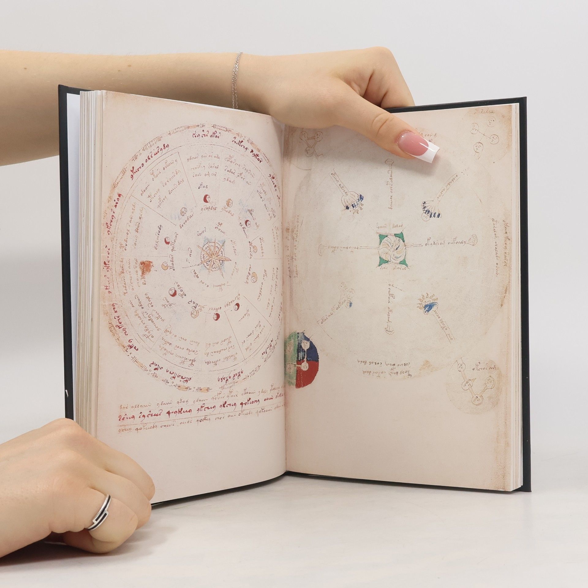 Voynich Manuskript