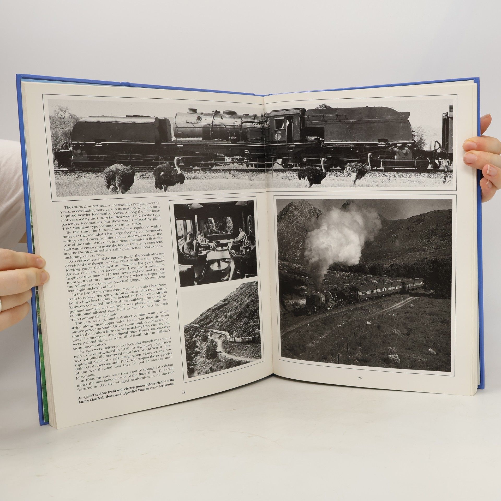 Timothy Wheaton Luxury Trains