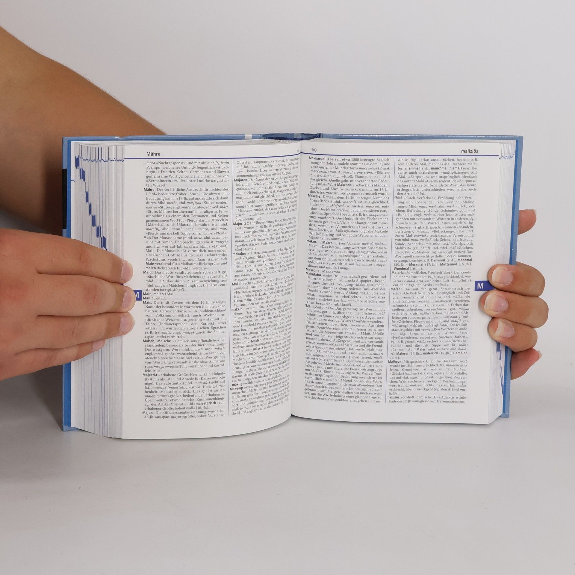 Brigitte Alsleben Duden, Das Herkunftswörterbuch