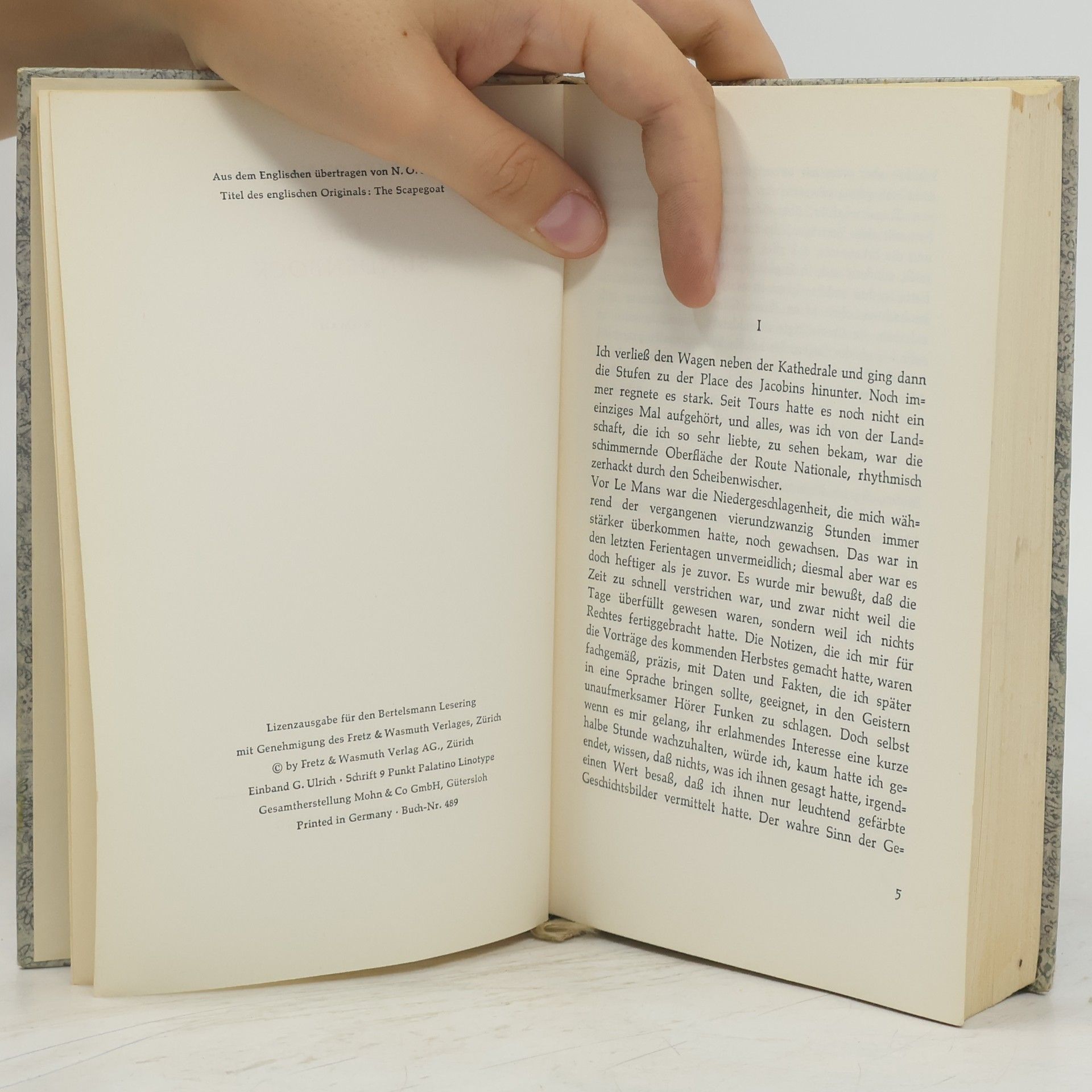 Daphne du Maurier Der Sündenbock