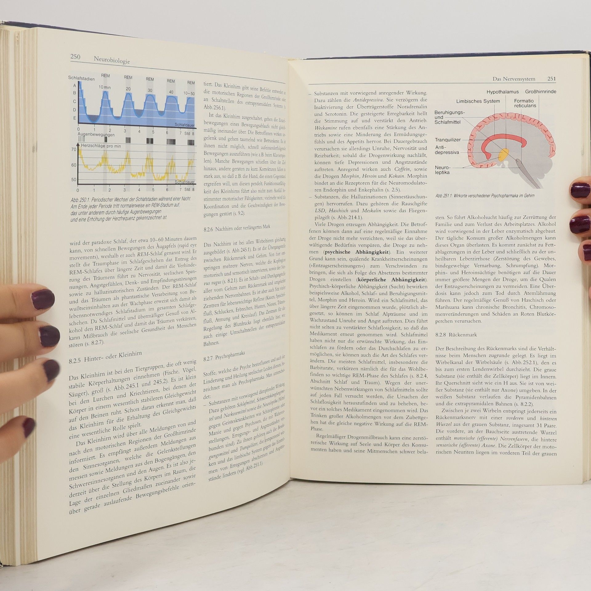 Biologie - Lehrbuch für die Oberstufe