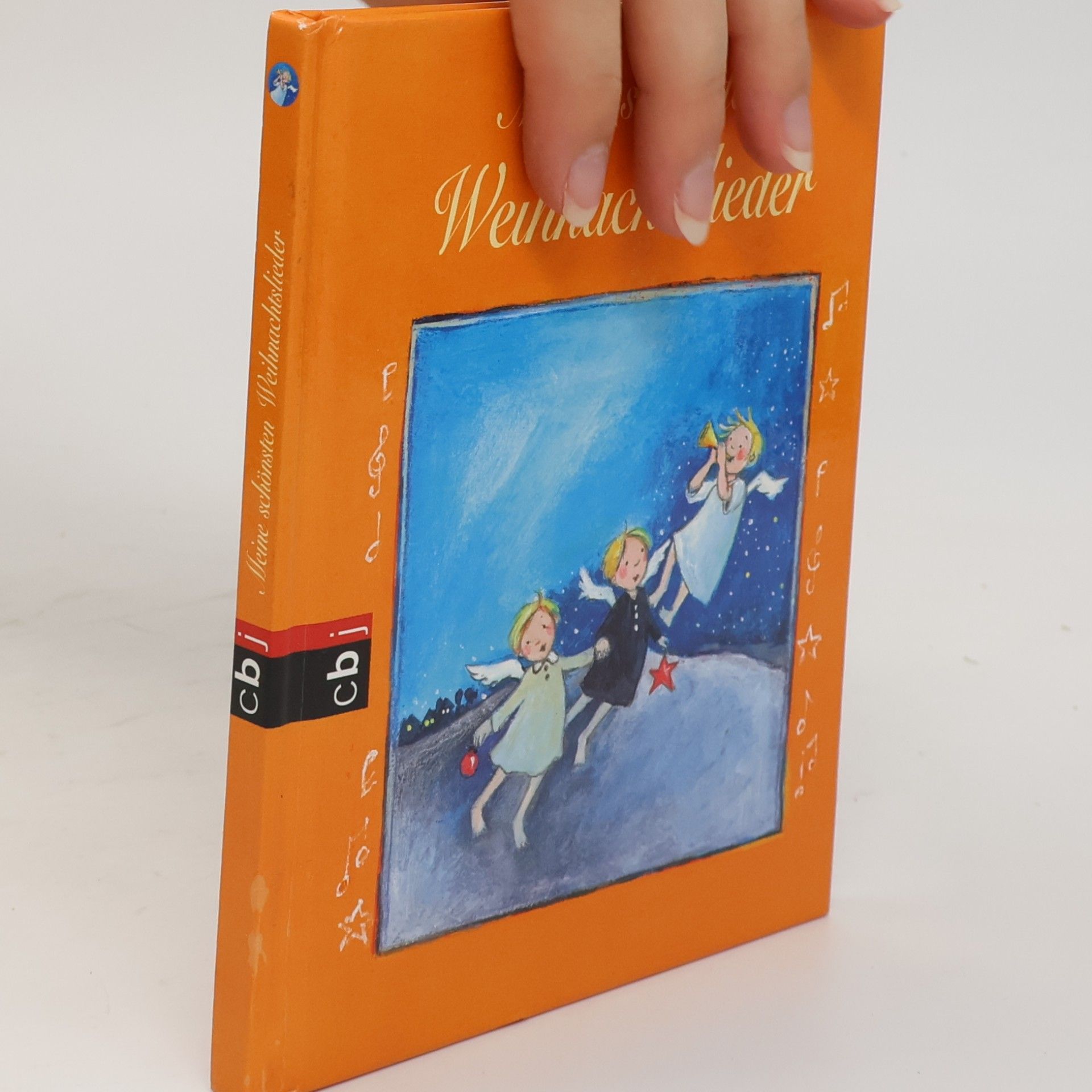 Collectif d'auteurs Meine schönsten Weihnachtslieder