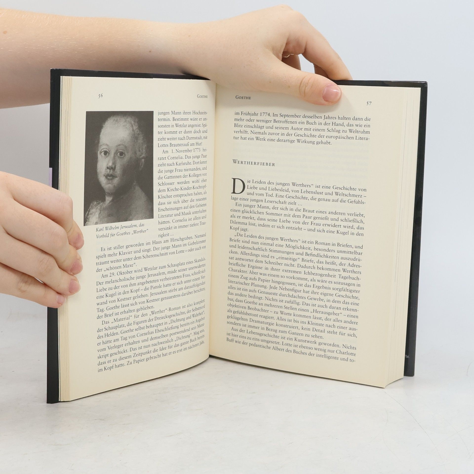 Johann Wolfgang von Goethe Menschen die die Welt bewegten