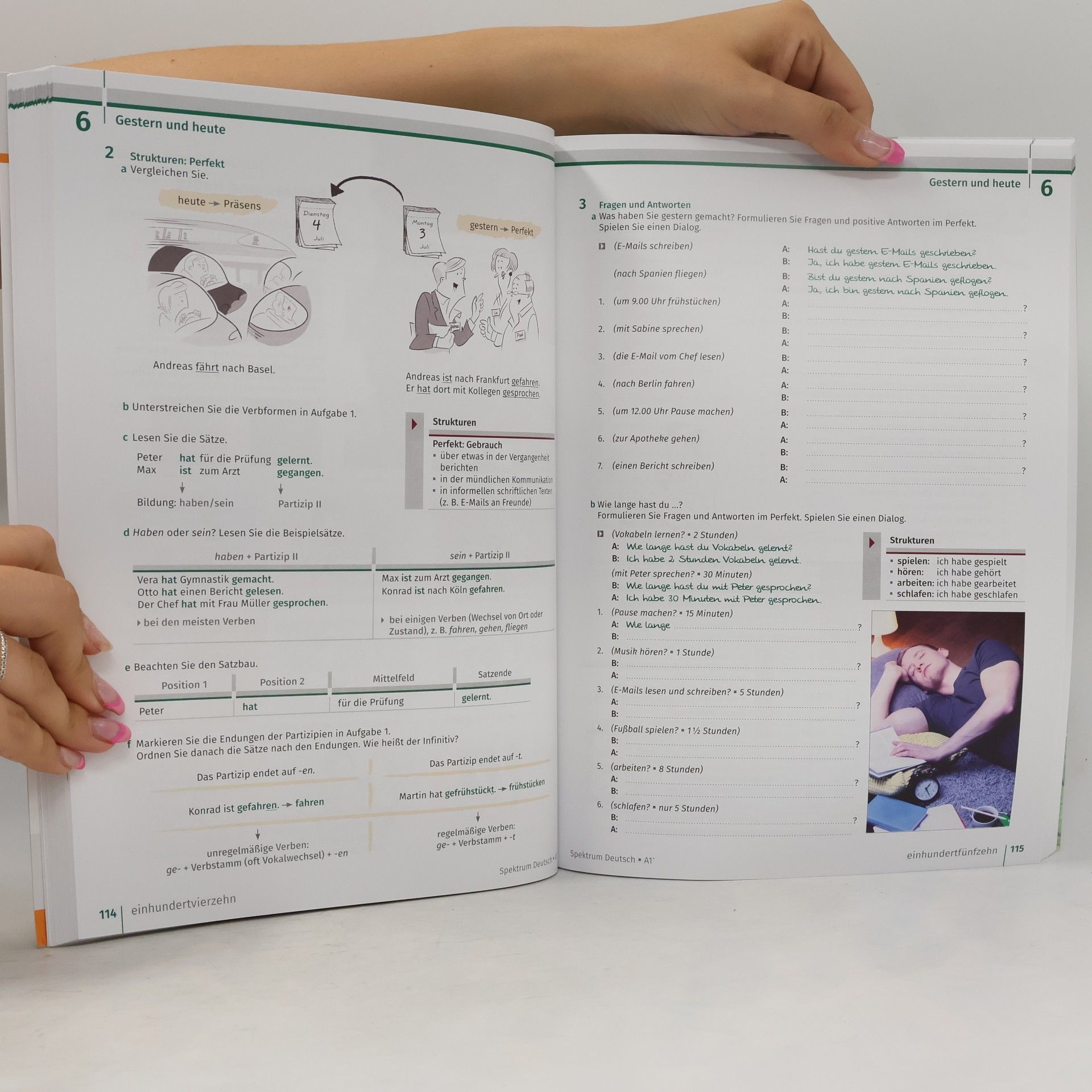 Anne Buscha Spektrum Deutsch A1+: Integriertes Kurs- und Arbeitsbuch für Deutsch als Fremdsprache