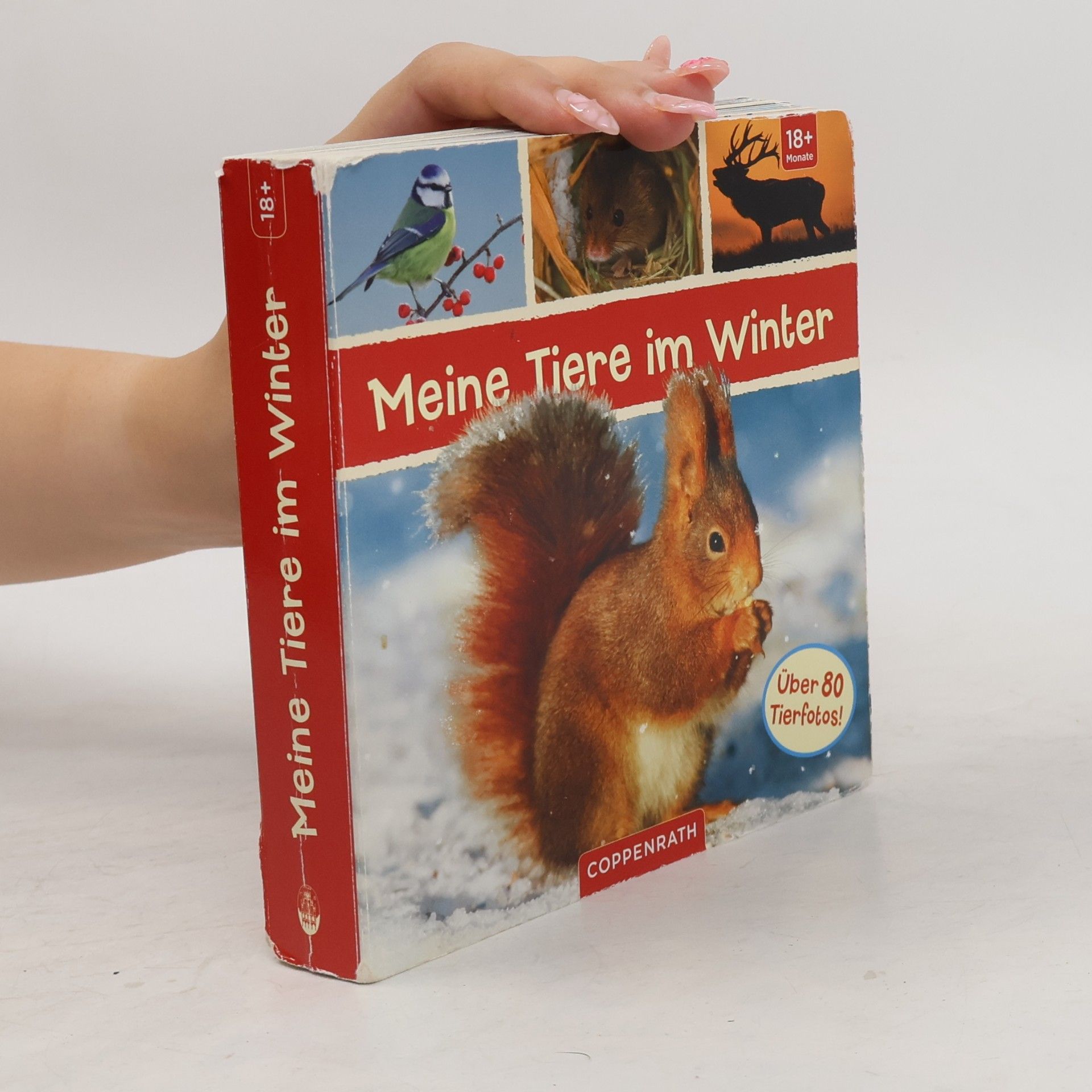 Meine Tiere im Winter