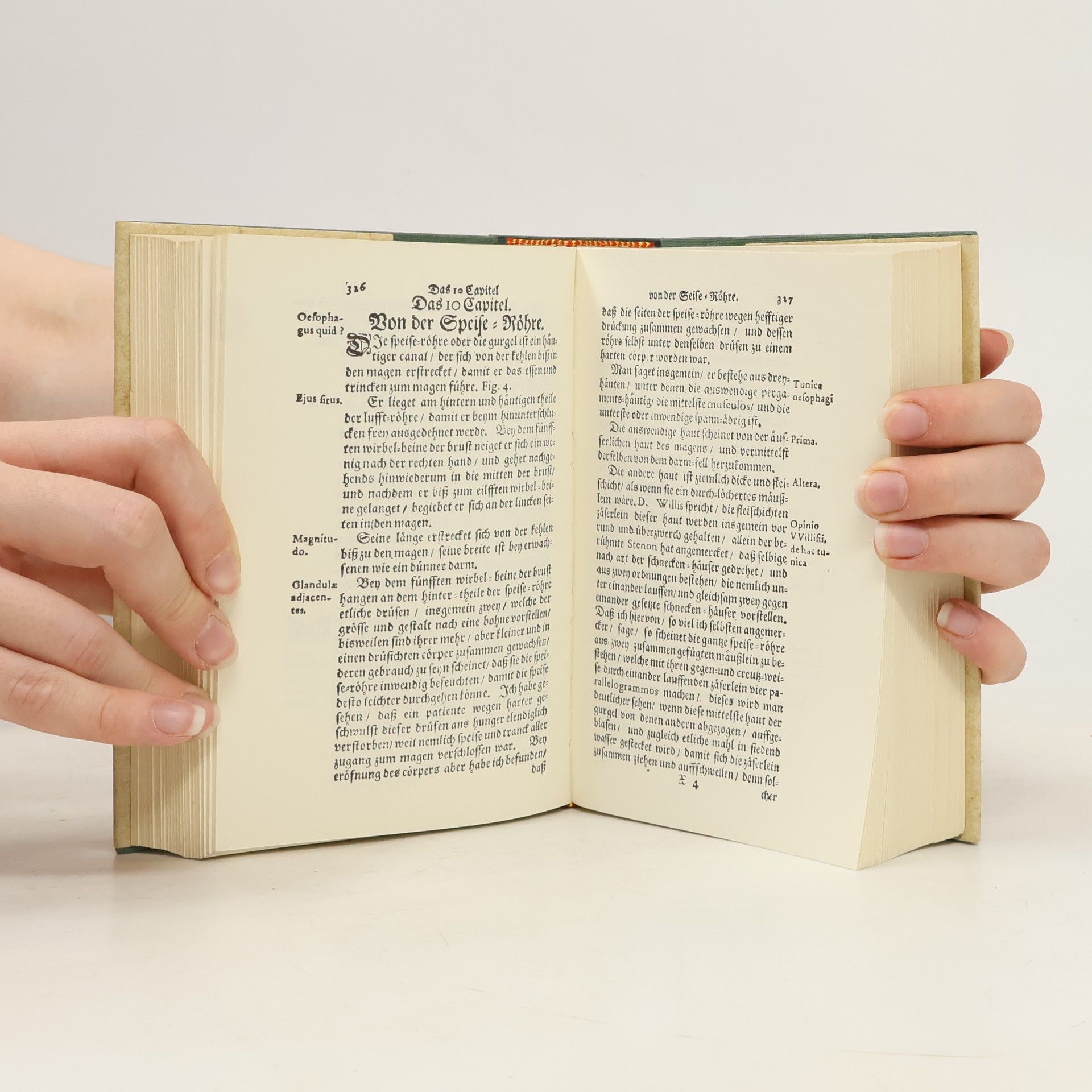 Philip Verheyen Anatomie 1708