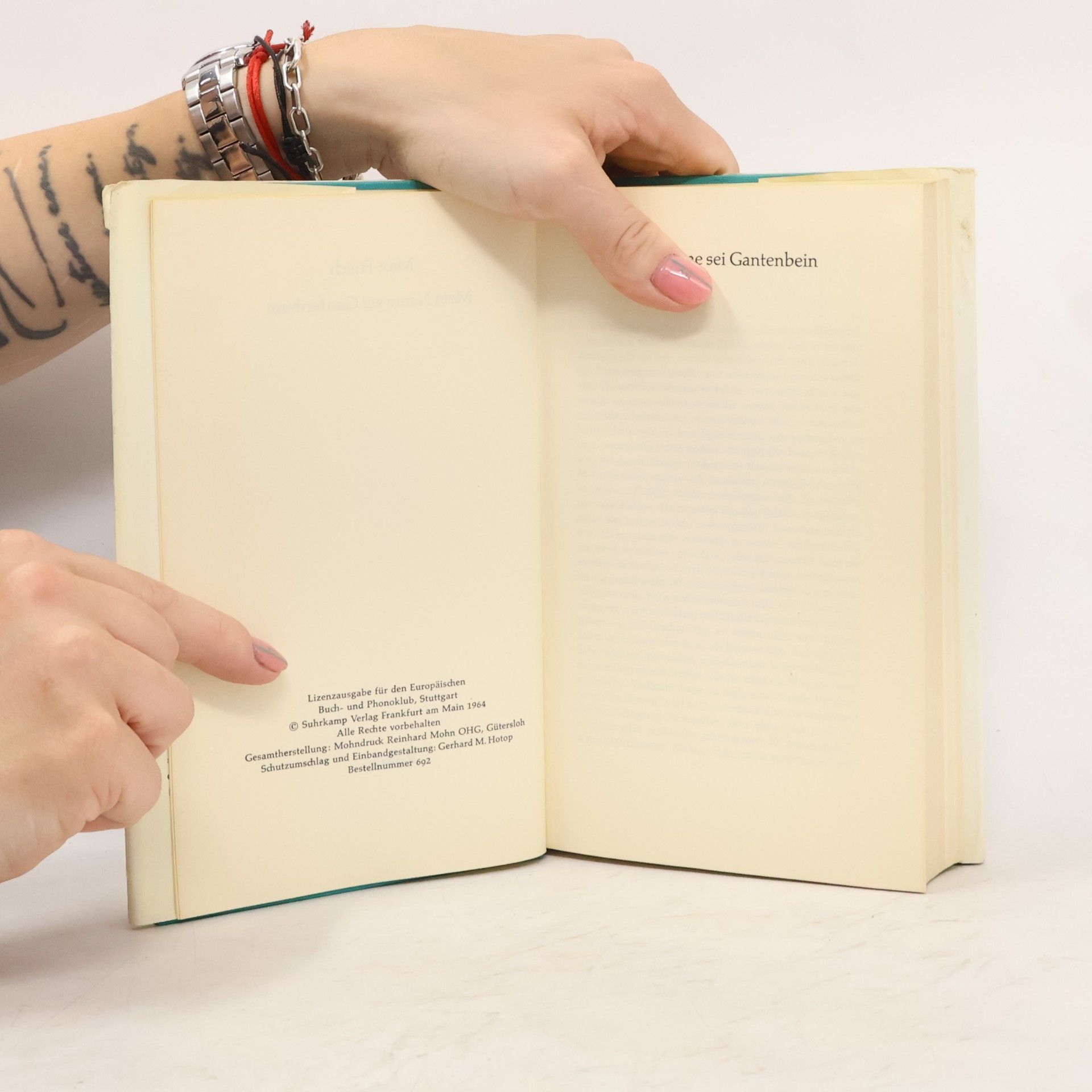 Max Frisch Mein Name sei Gantenbein