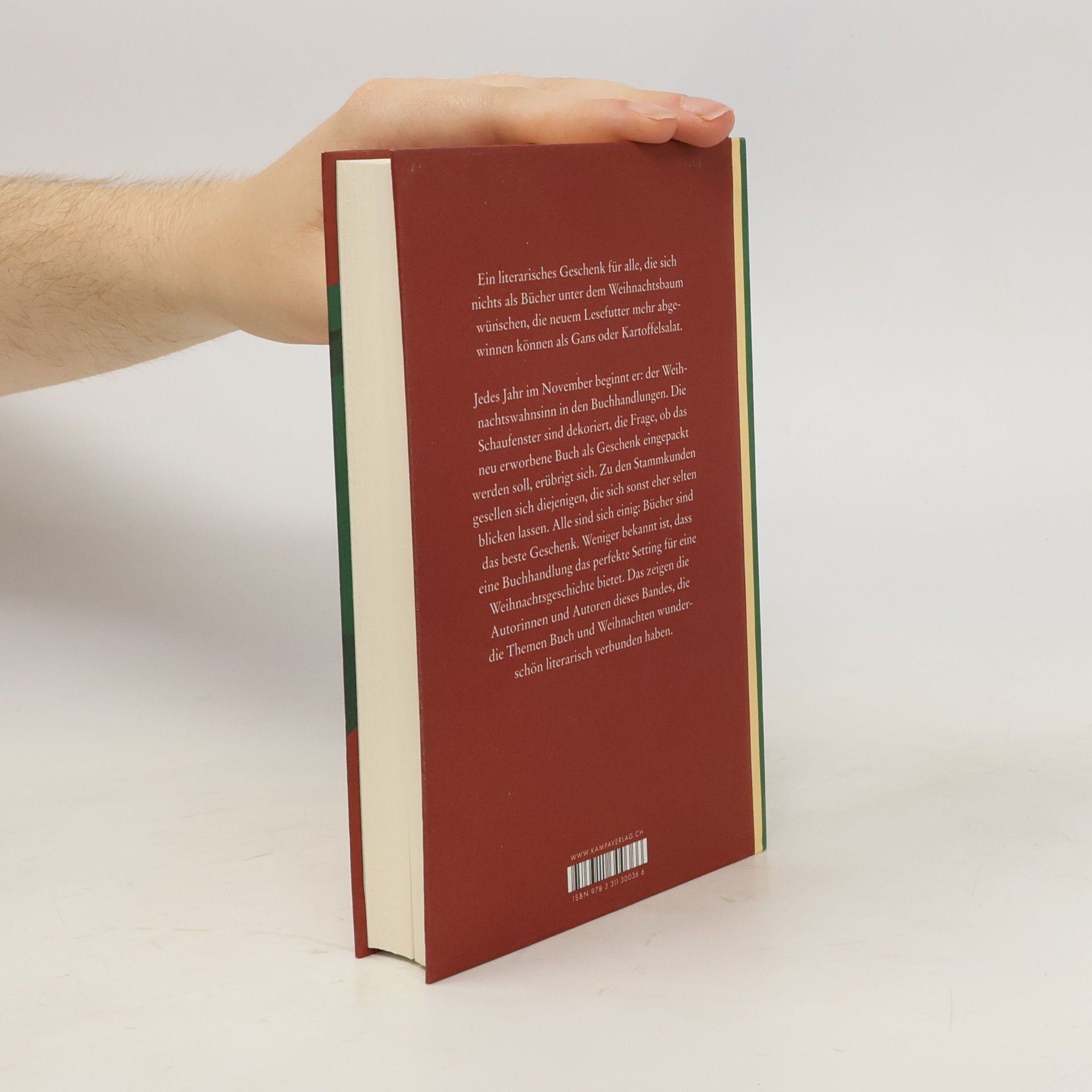 Aleksia Sidney Ein Wunschzettel voller Bücher