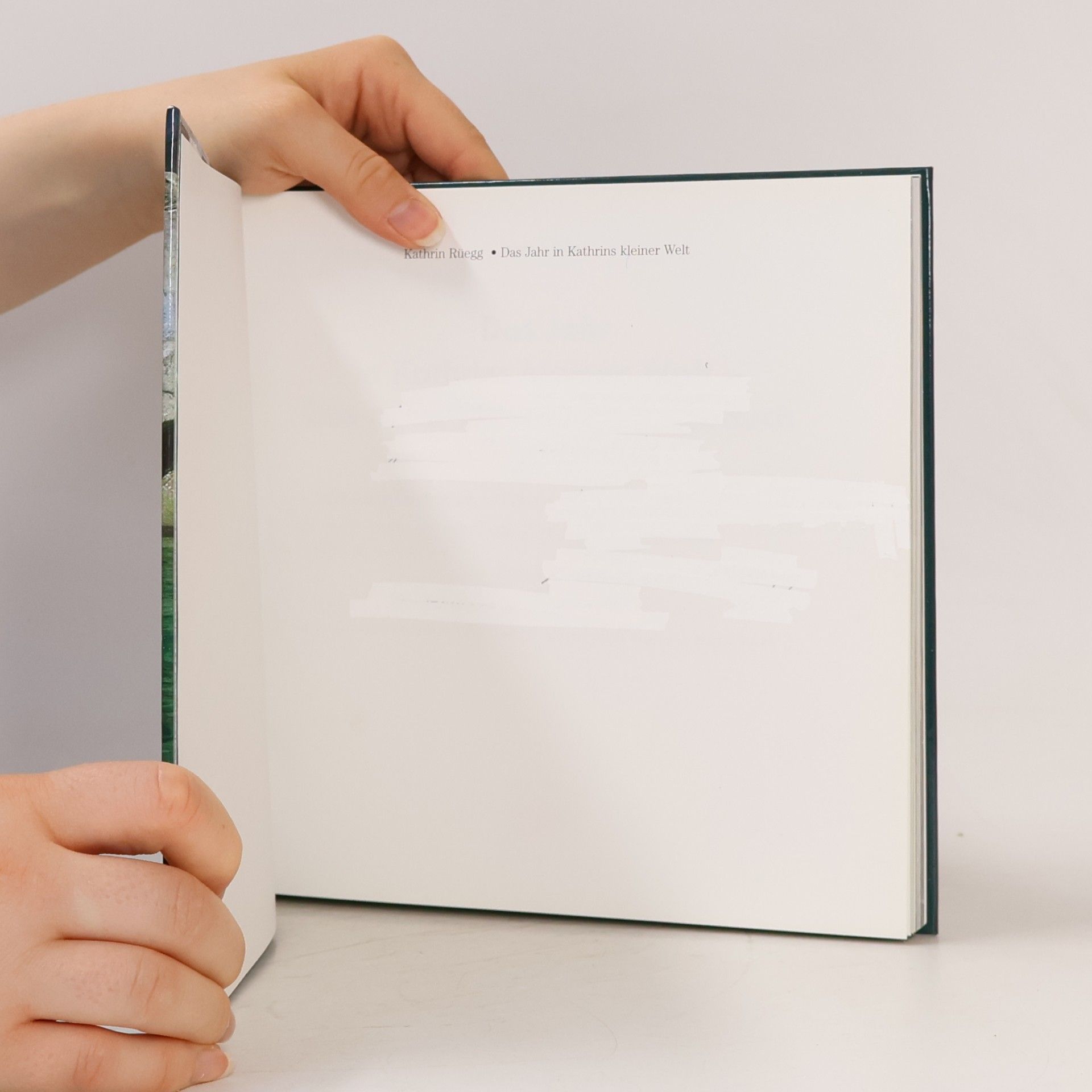 Kathrin Rüegg Das Jahr in Kathrins kleiner Welt - das neue Tessiner Bildtagebuch