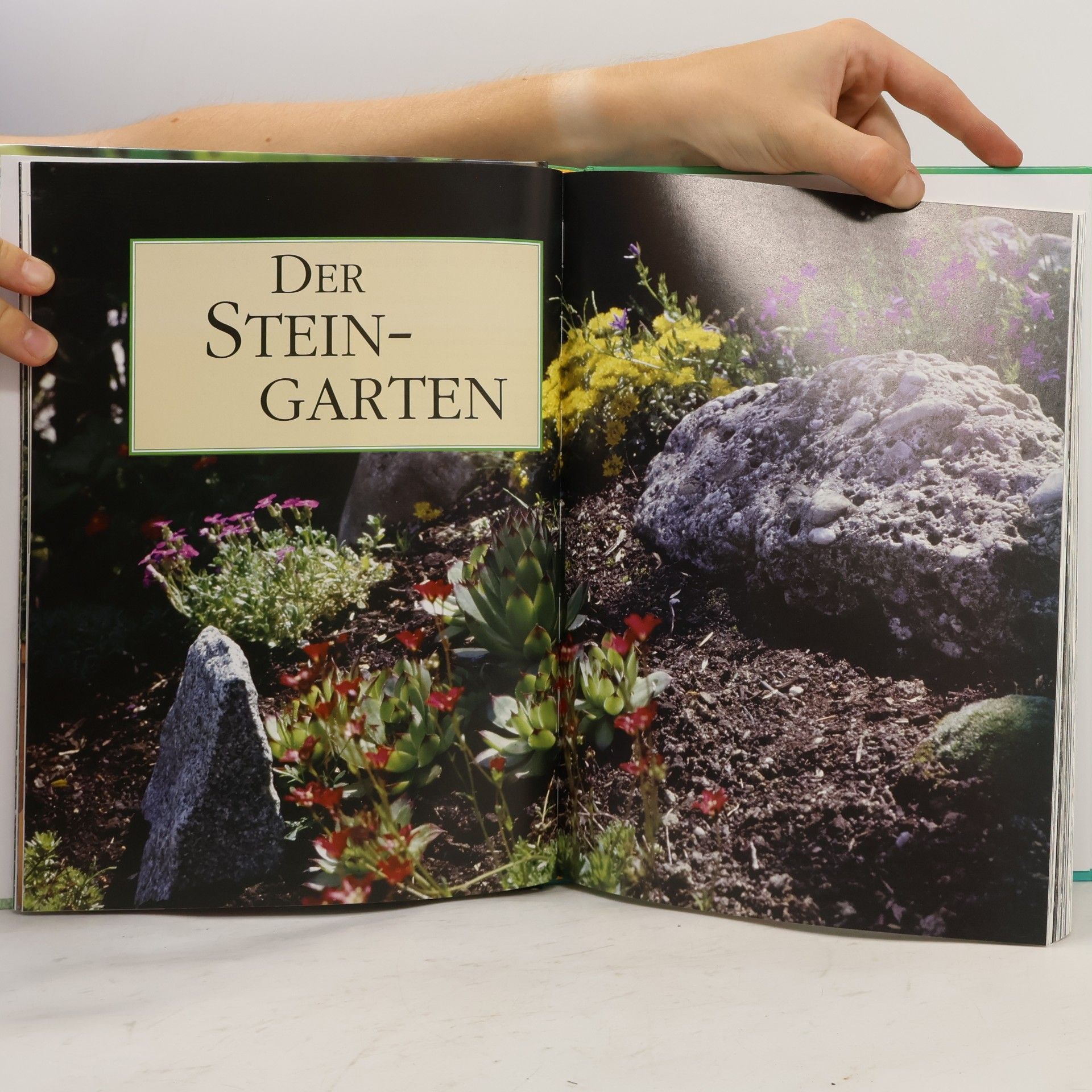 Autorenkollektiv Kleine Gärten schön gestaltet