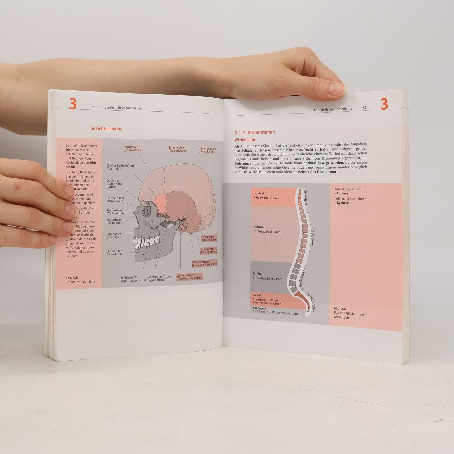 Erica Brühlmann-Jecklin Arbeitsbuch Anatomie und Physiologie für Pflege- und andere Gesundheitsfachberufe