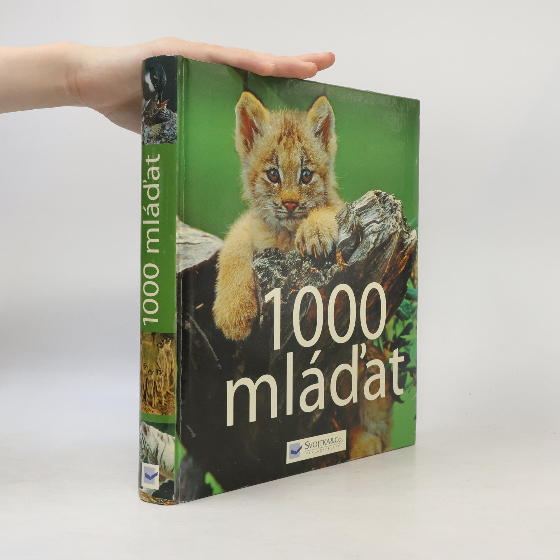 AA.VV. 1000 mláďat