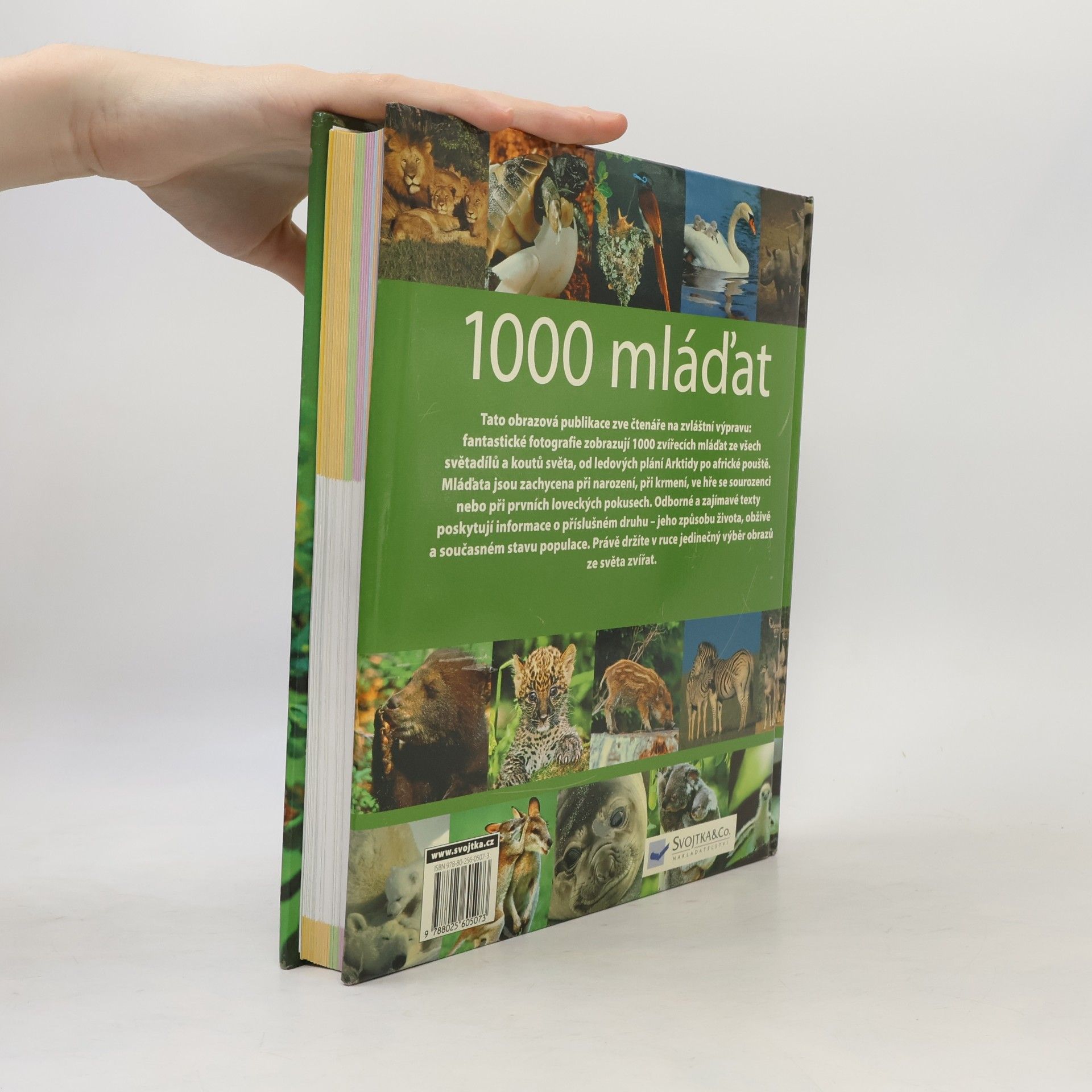 Autorenkollektiv 1000 mláďat