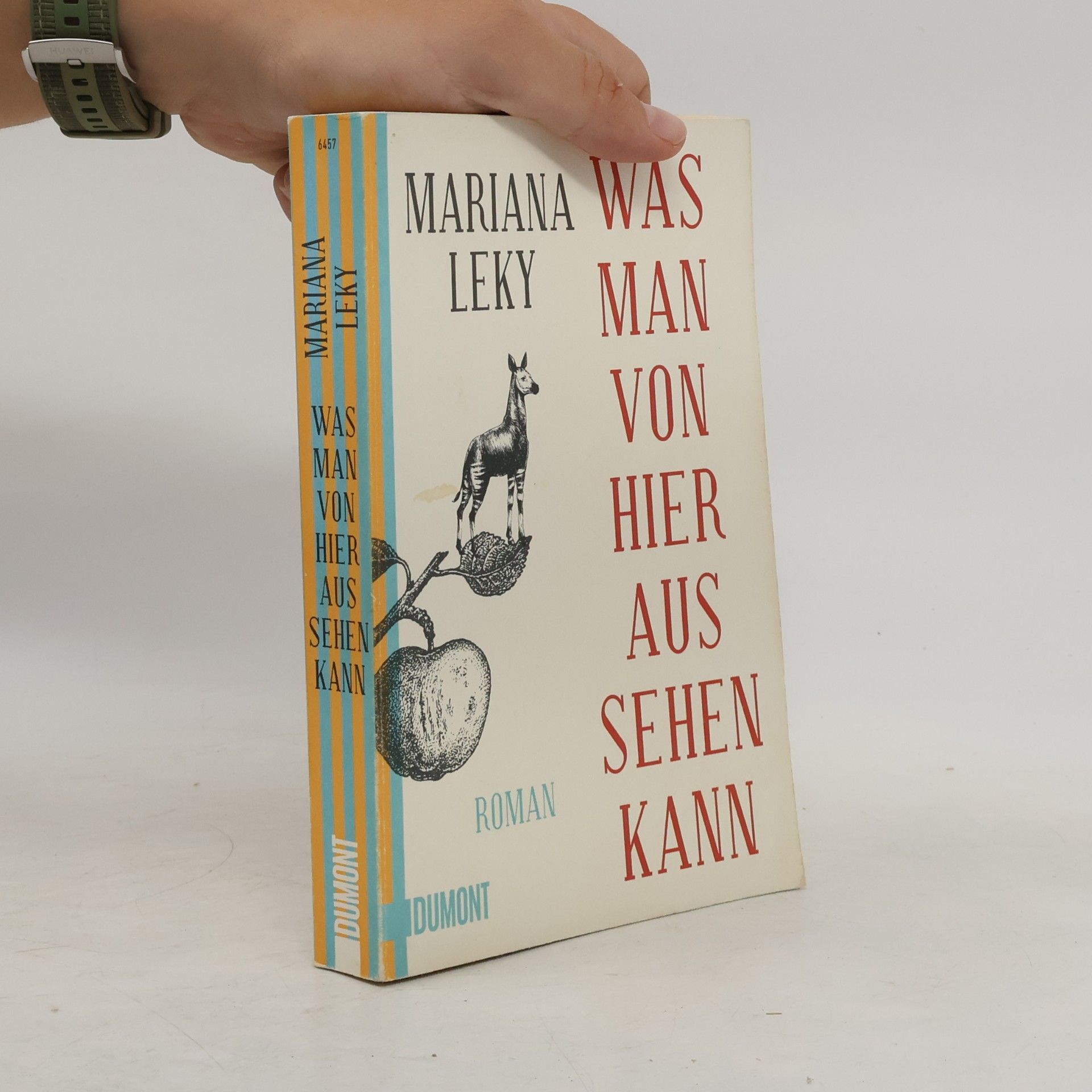 Mariana Leky Was man von hier aus sehen kann