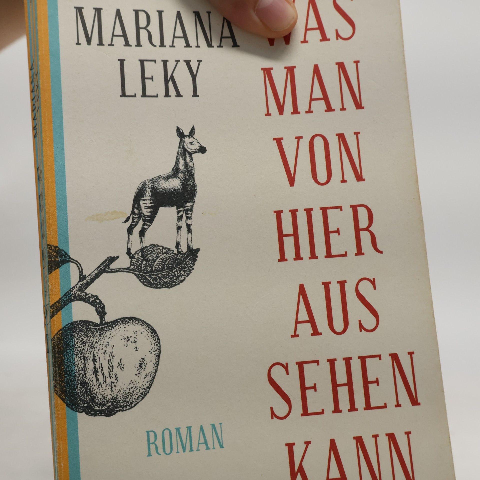 Mariana Leky Was man von hier aus sehen kann