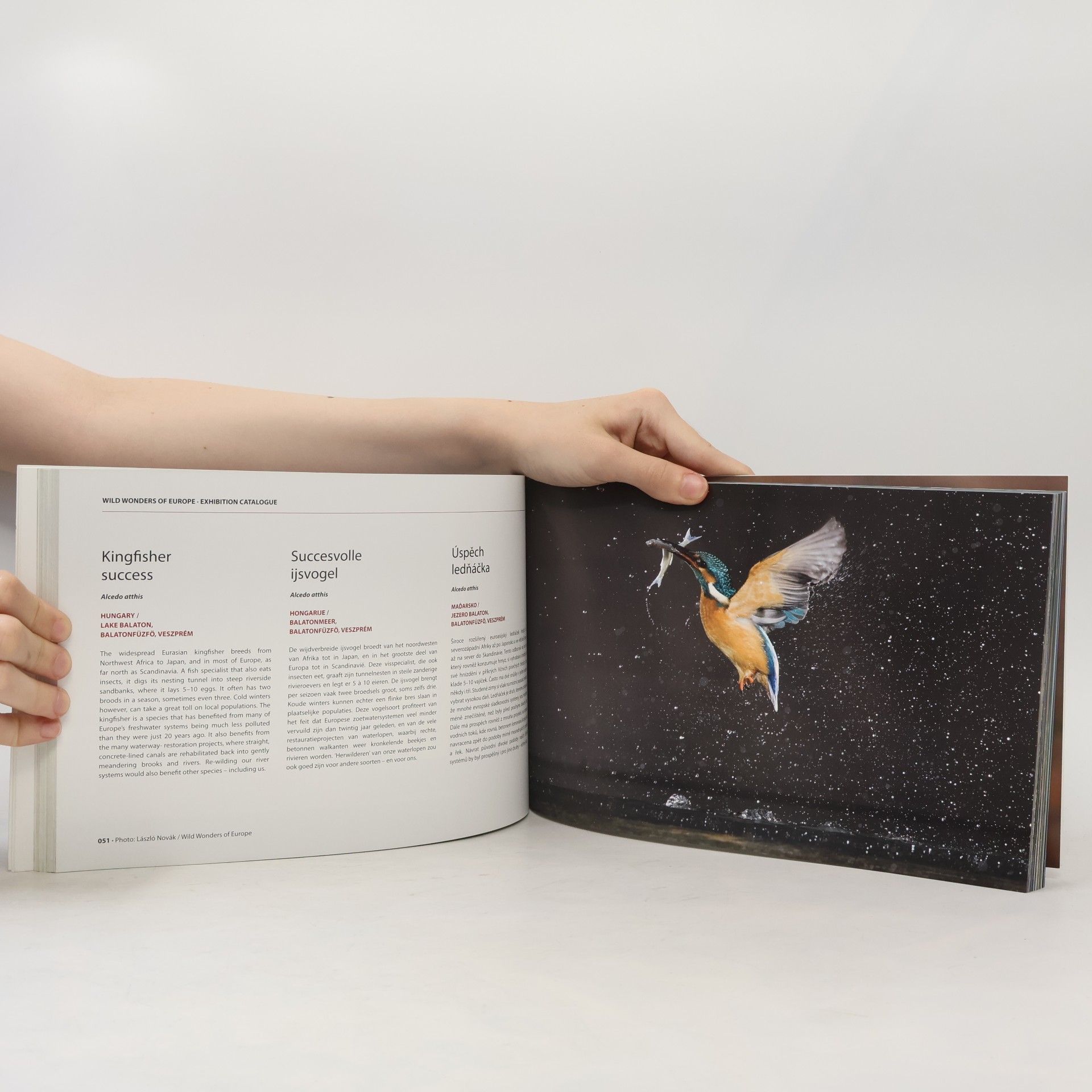 Peter Cairns Wild wonders of Europe : exhibition catalogue