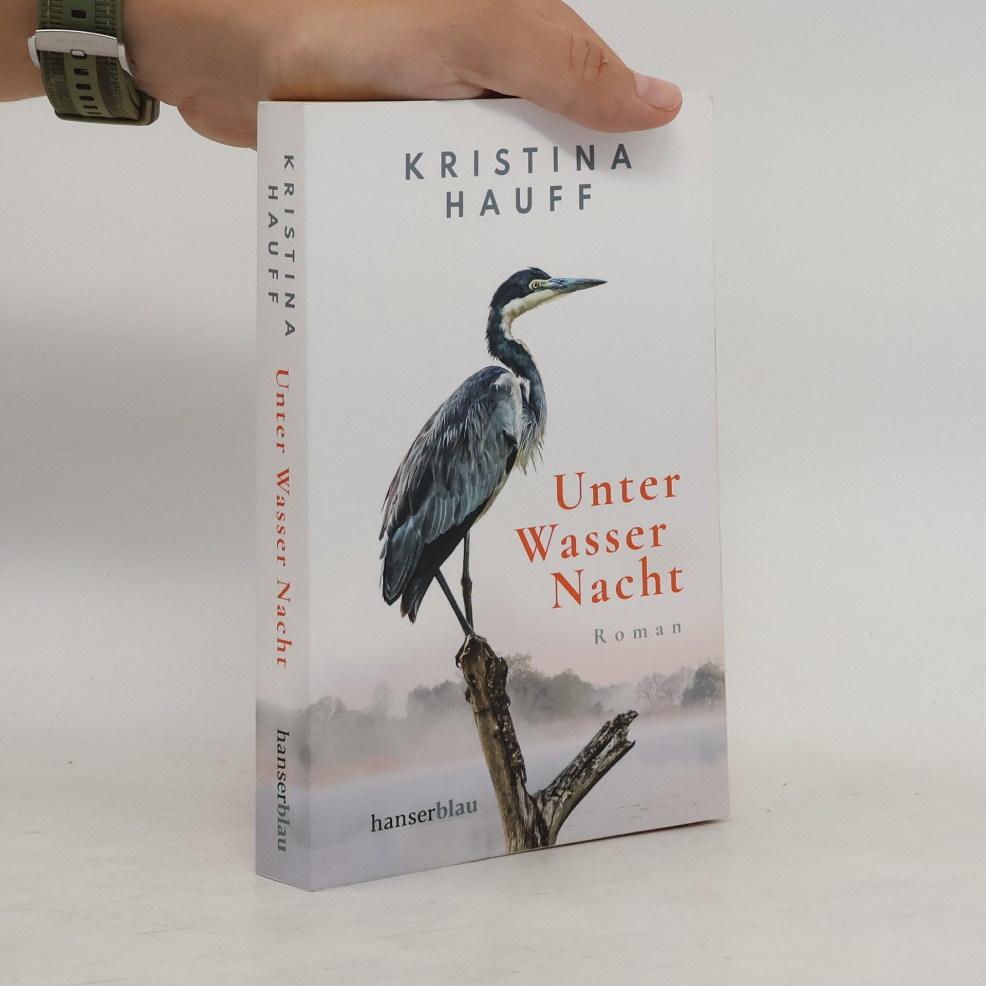 Kristina Hauff Unter Wasser Nacht