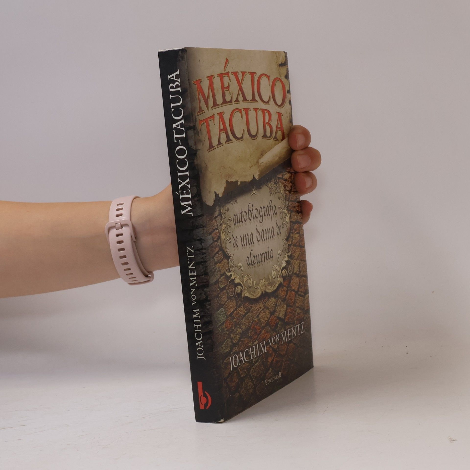 Kolektiv autorů Mexico Tacuba