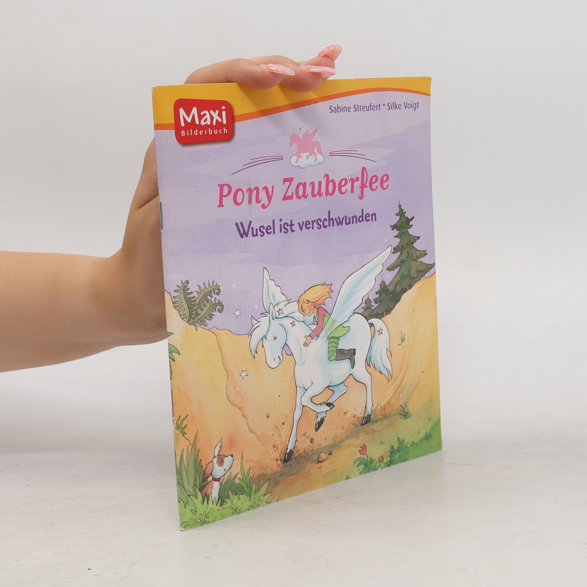 Sabine Streufert Pony Zauberfee: Wusel ist verschwunden