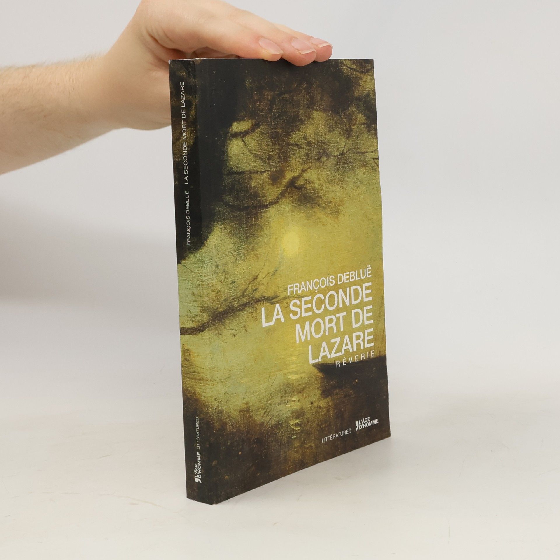 François Deblue͏̈ La Seconde mort de Lazare