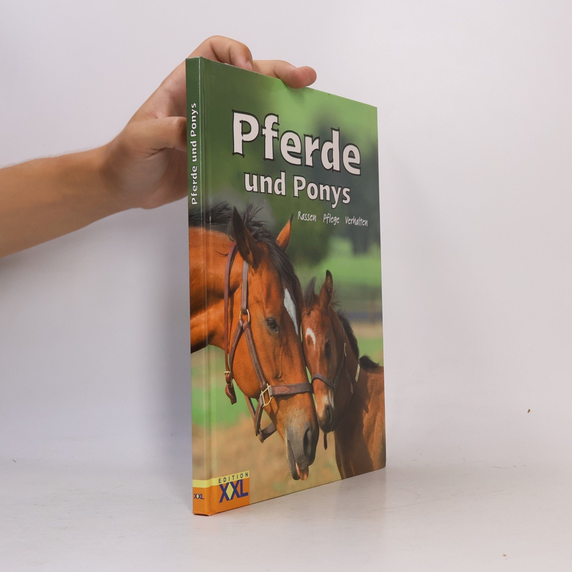 Kolektiv autorů Pferde und Ponys