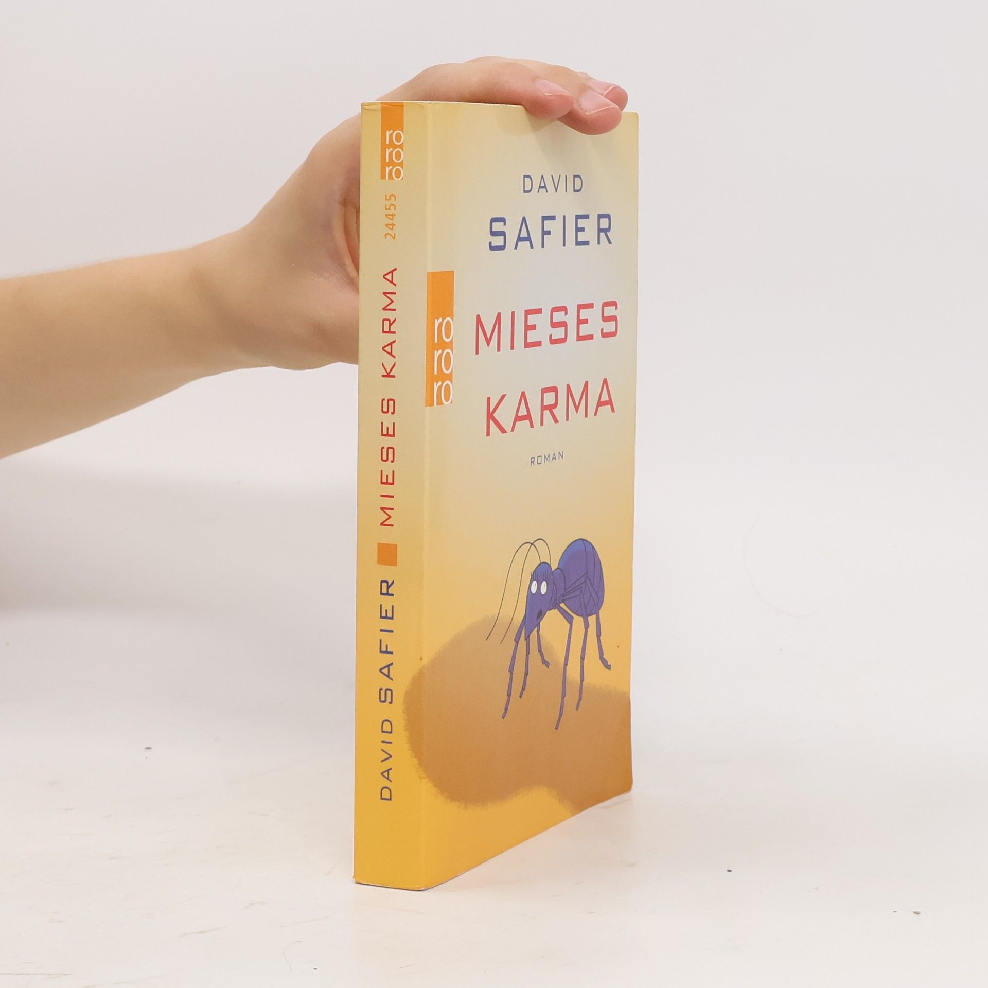 David Safier Mieses Karma