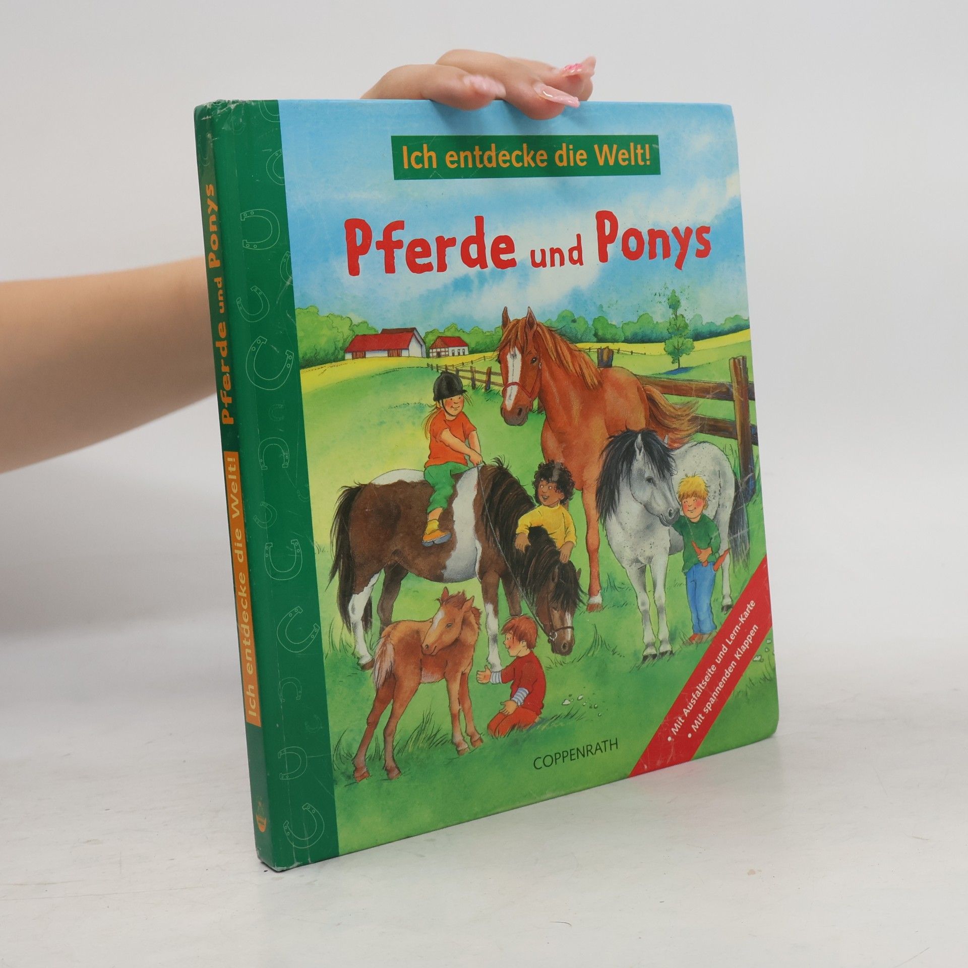 Barbara Wernsing Bottmeyer Pferde und Ponys