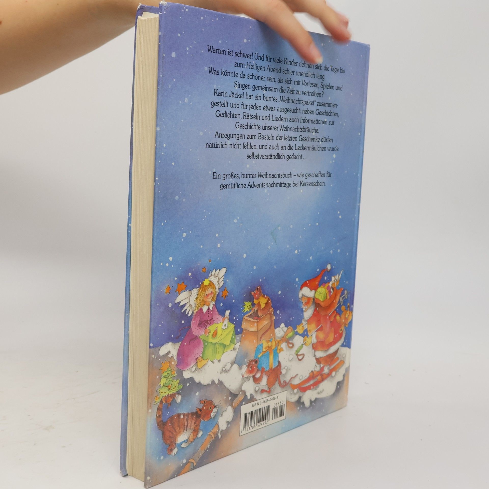 Karin Voss Das große bunte Weihnachtsbuch