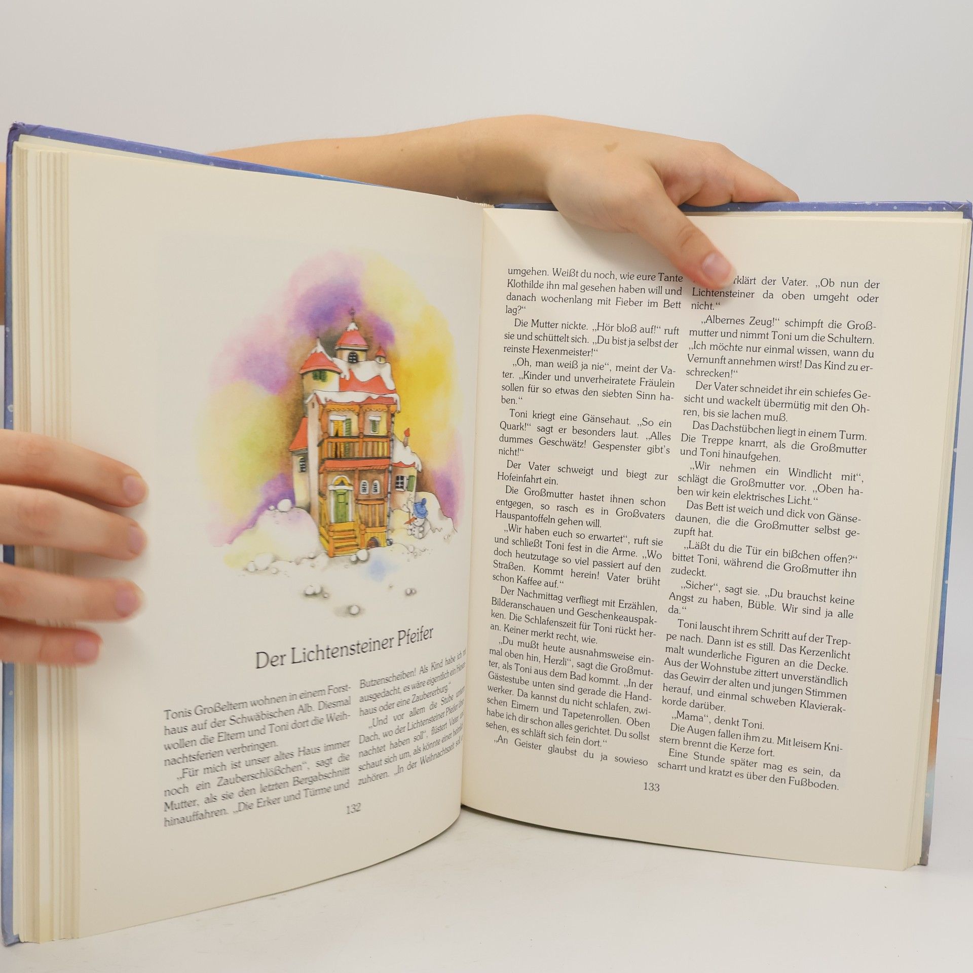 Karin Voss Das große bunte Weihnachtsbuch