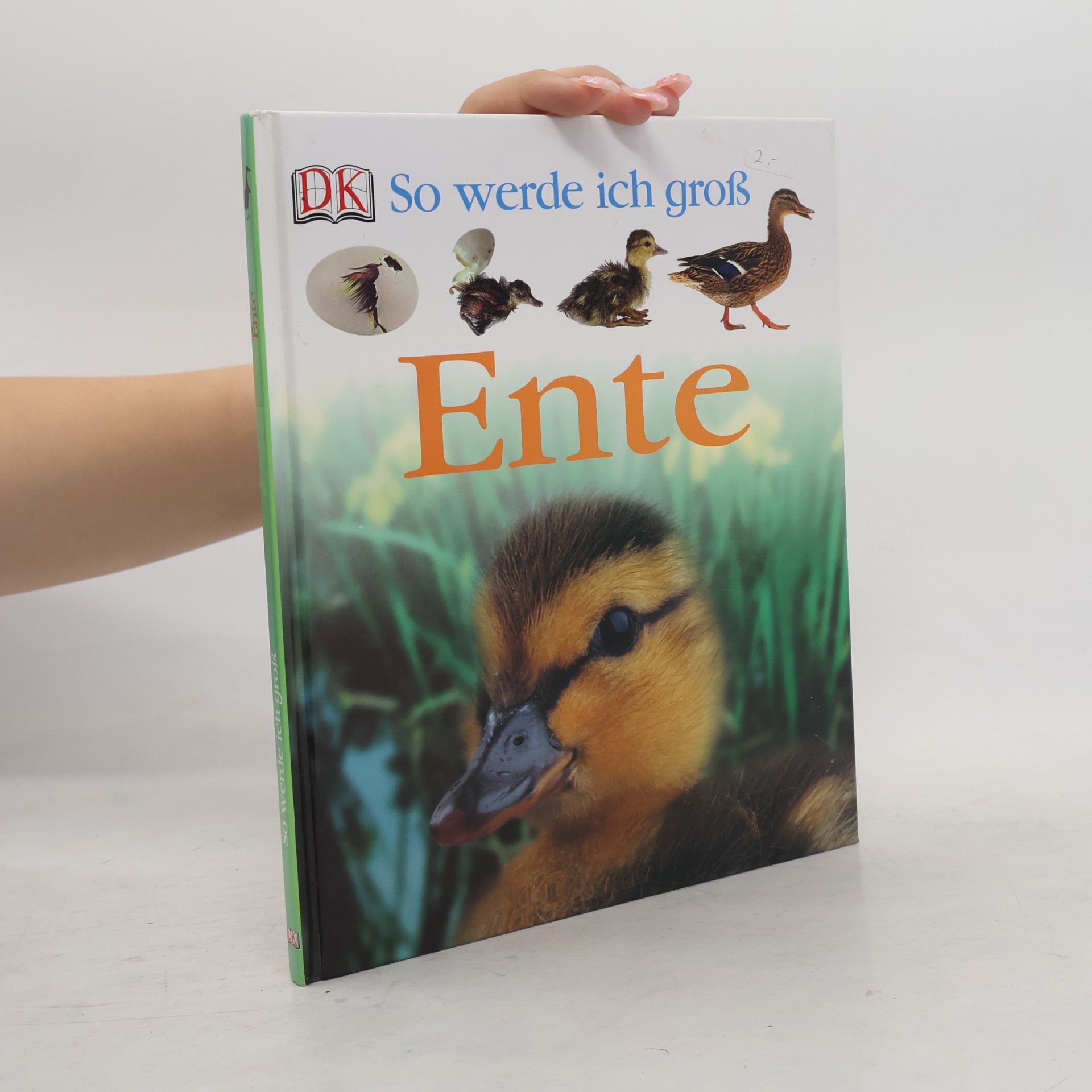 Lisa Magloff Ente