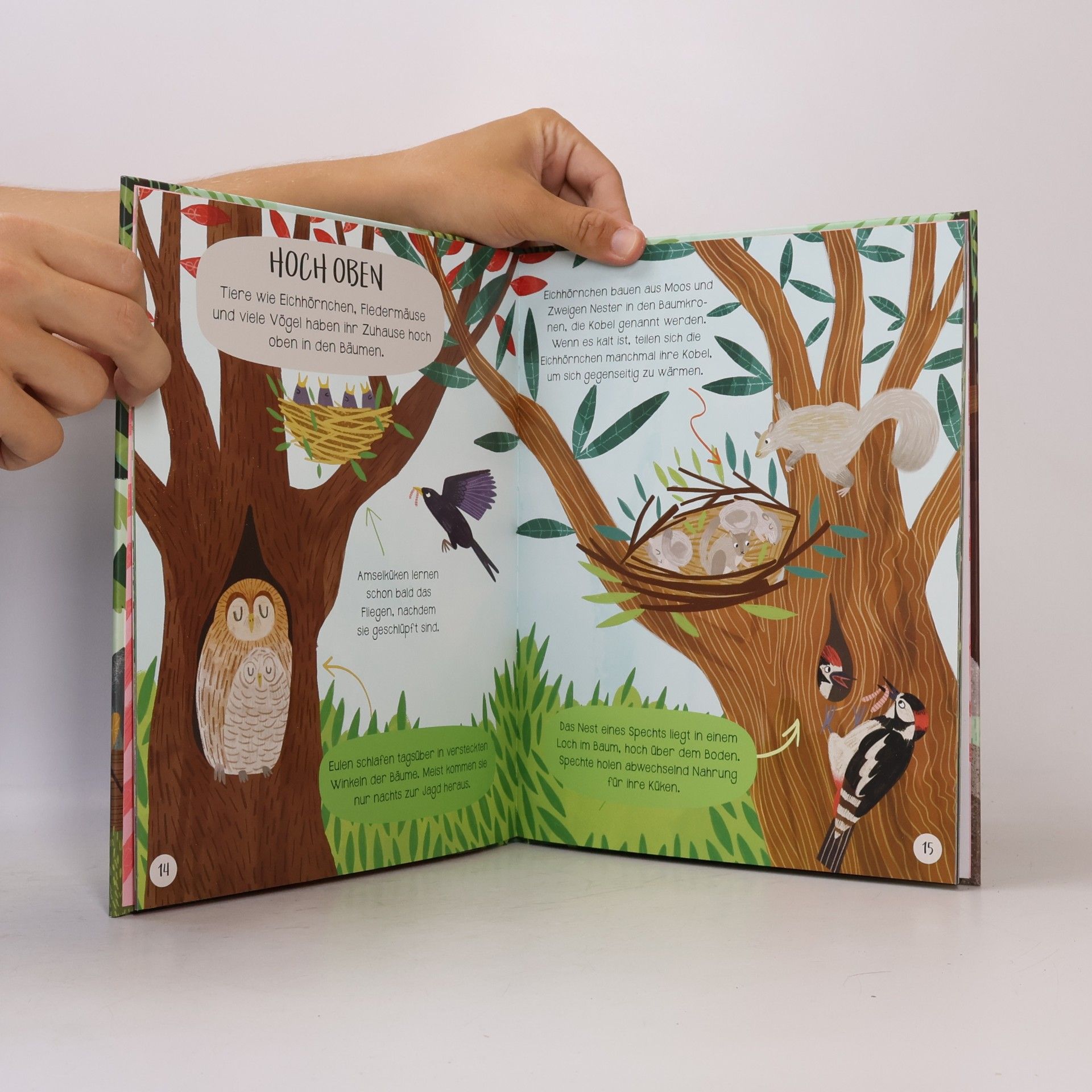 Claire Philip Kleine Welt–Entdecker – Unser Wald. Das Sachbilderbuch zum Vorlesen und Staunen