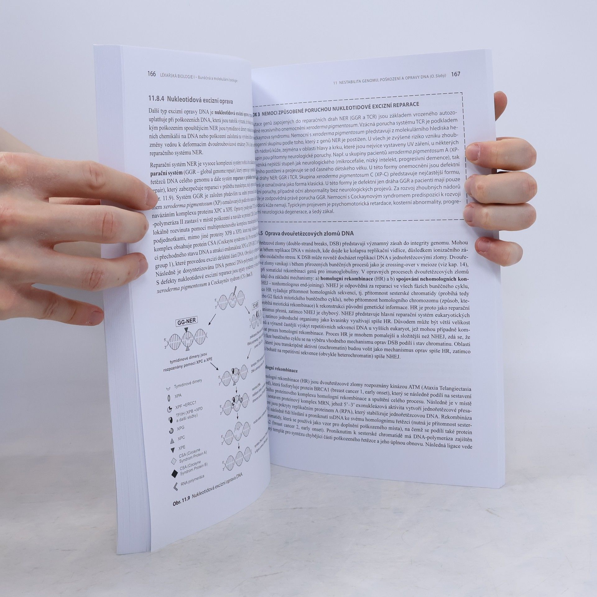 Ondřej Slabý Lékařská biologie. I., bunečná a molekulární biologie